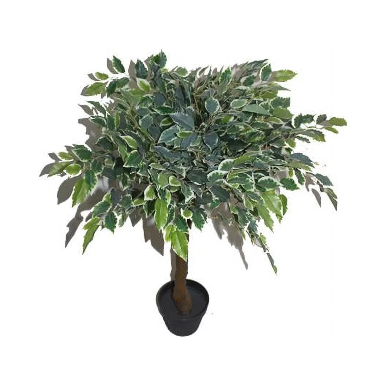 36 in. White Banyan Tree