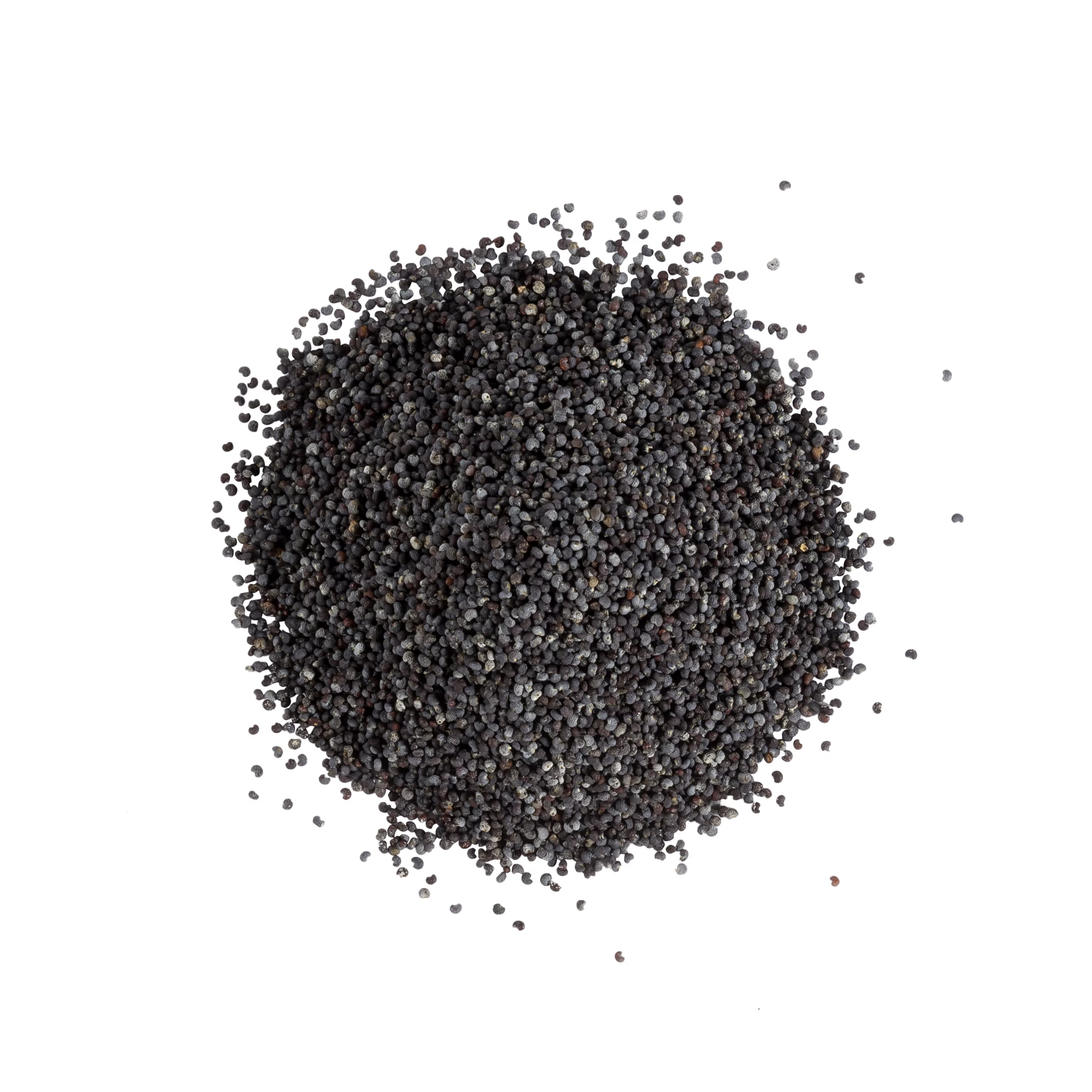 Whole Black Poppy Seeds