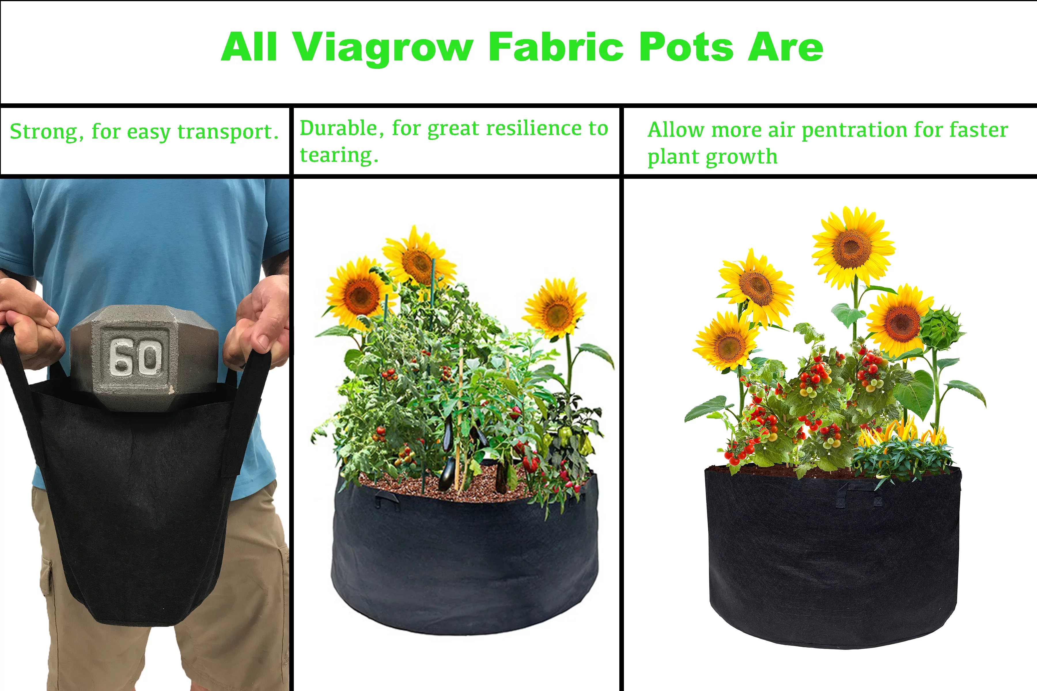 2 Gal. Breathable Fabric Root Aeration Pot with Handles (10-Pack)