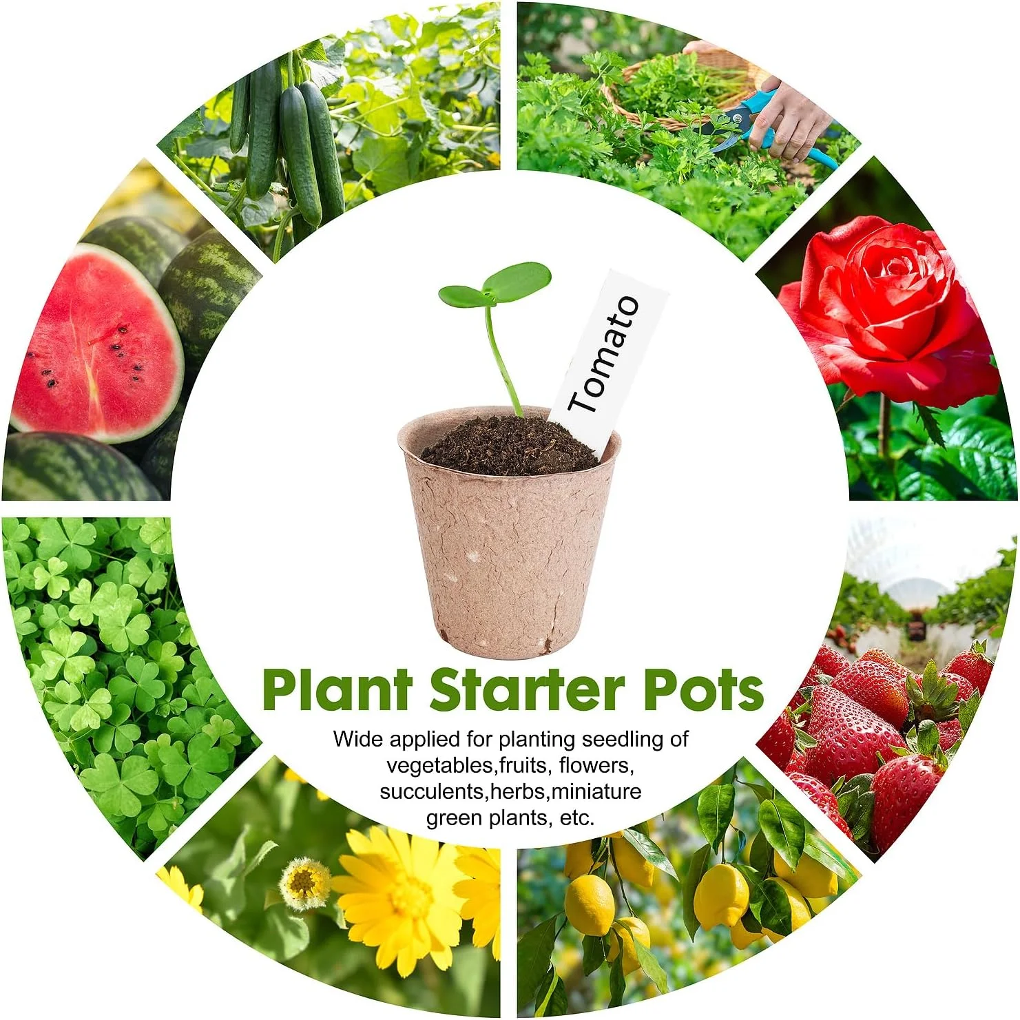 Paper Seedling Pot With 20 Plant Labels, Biodegradable Circular Plant Pot, Nursery Pot With Bottom Drainage Holes (40 Pots/3.15 Inches)