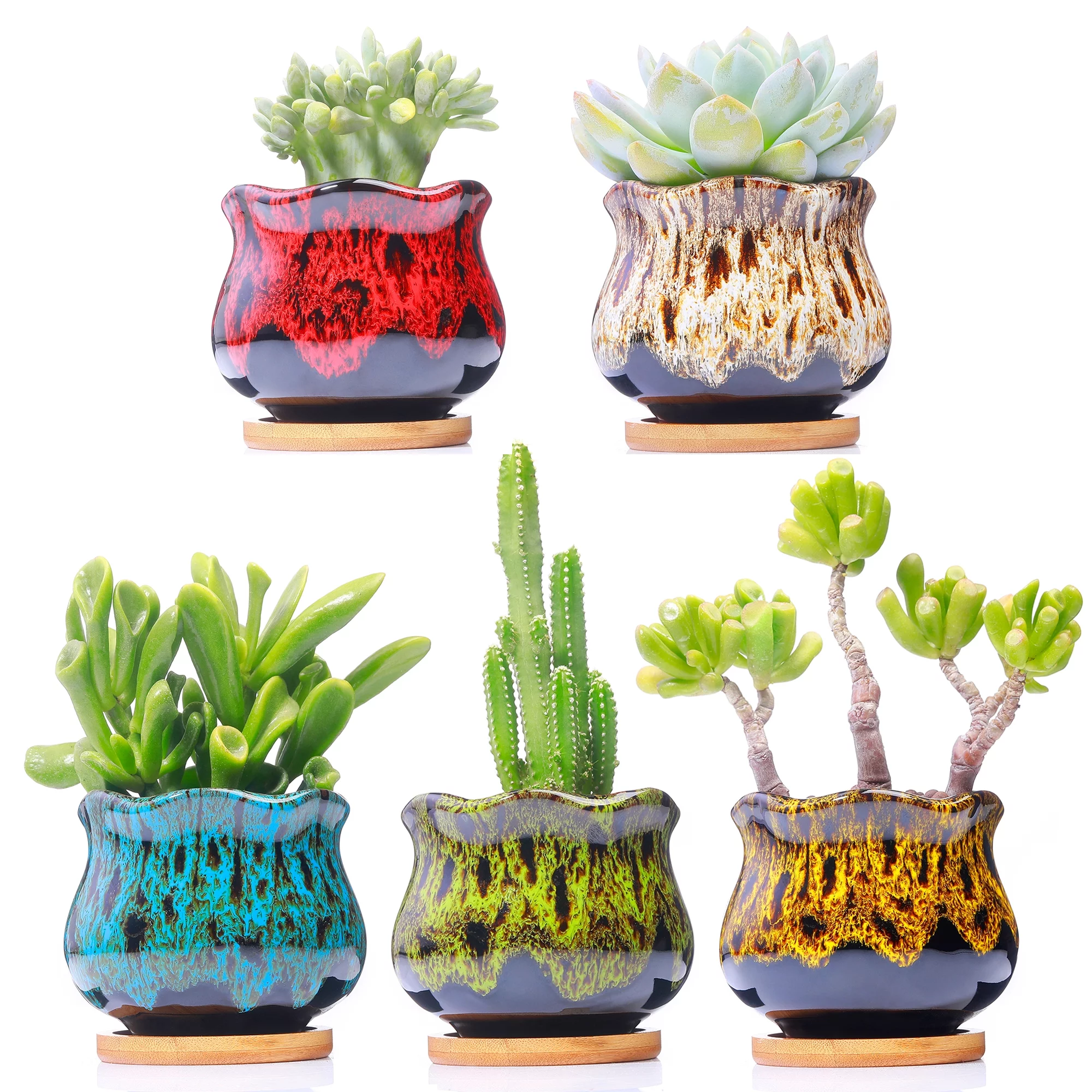 Cute Ceramic Succulent Garden Pots, Planter with Drainage and Attached Saucer, Set of 5 -Plants Not Included