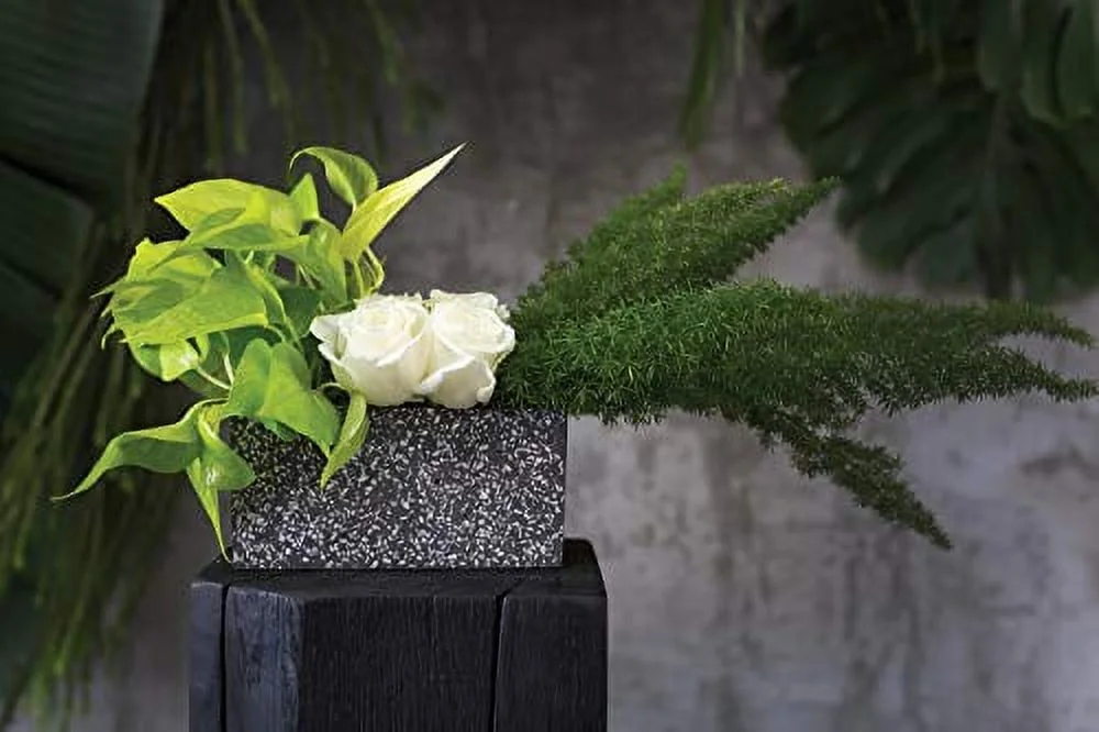 Greystone Cement Planter for Plant (58011) (8.25