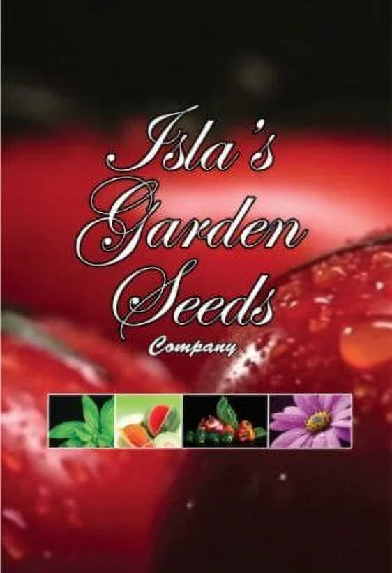 Caraway Herb Seeds, 100 Heirloom Seeds Per Packet, Non GMO Seeds