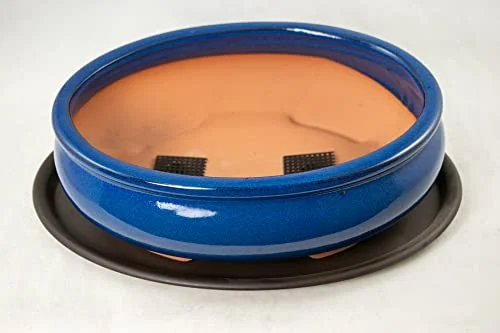 Oval Bonsai / Cactus & Succulent Pot + Tray + Mesh, Dark Blue, 10 x 7.5 x 3.25 Inches