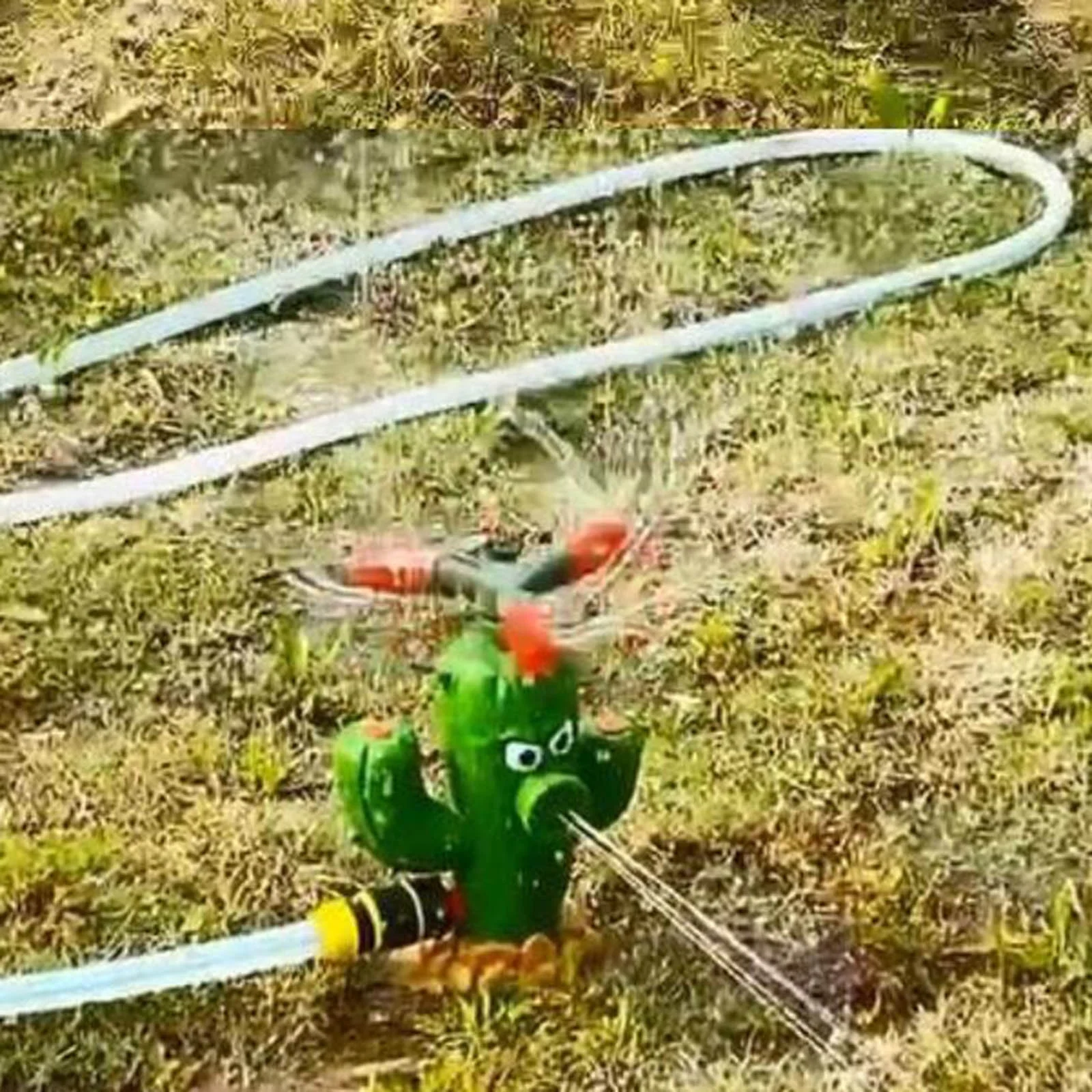 XIANXIAN Rotating Nozzle Cactus Garden Sprinkler 360 Rotating Sprinkler Large Area Coverage Adjustable Weighted Gardening Watering System