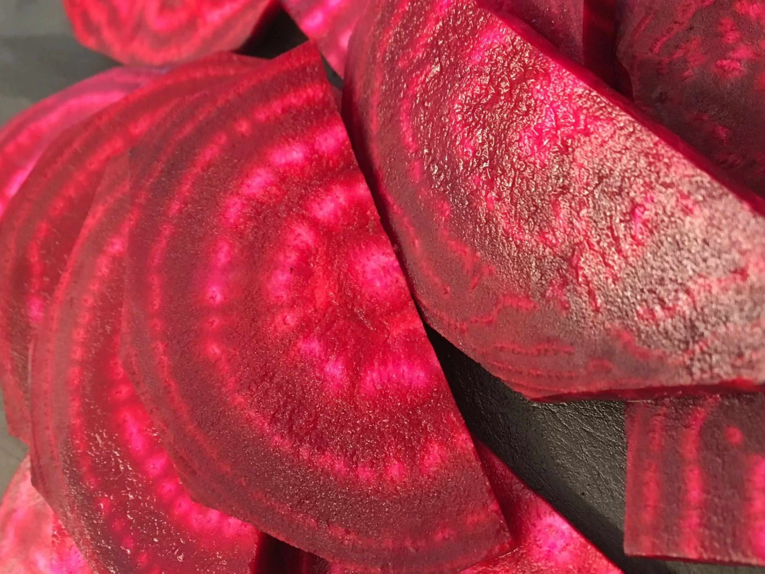 Mammoth Red Mangel Beet Seeds/ Biennial/ Full Sun/570 Seeds 1/4 oz/ Zellajake Farm and Garden- B311