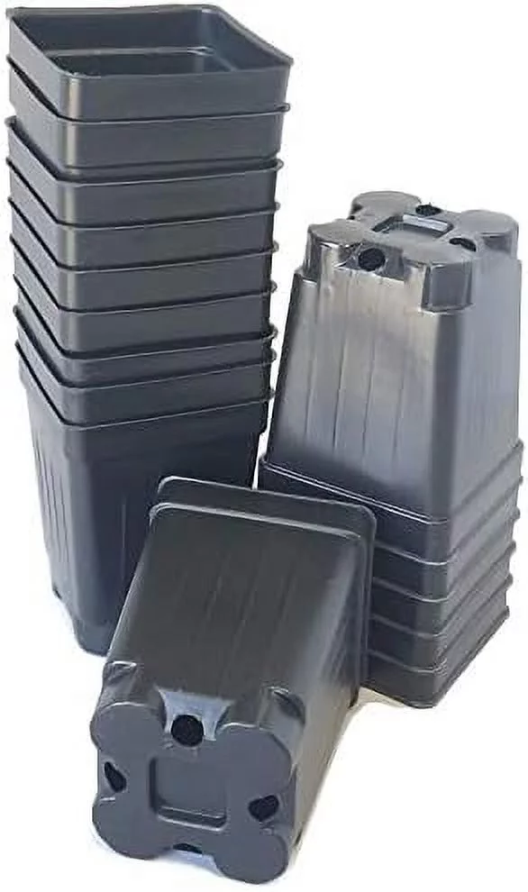 100 - 2.5 Inch Square DEEP Black Plastic Nursery Pots Seedlings Plants Landmark