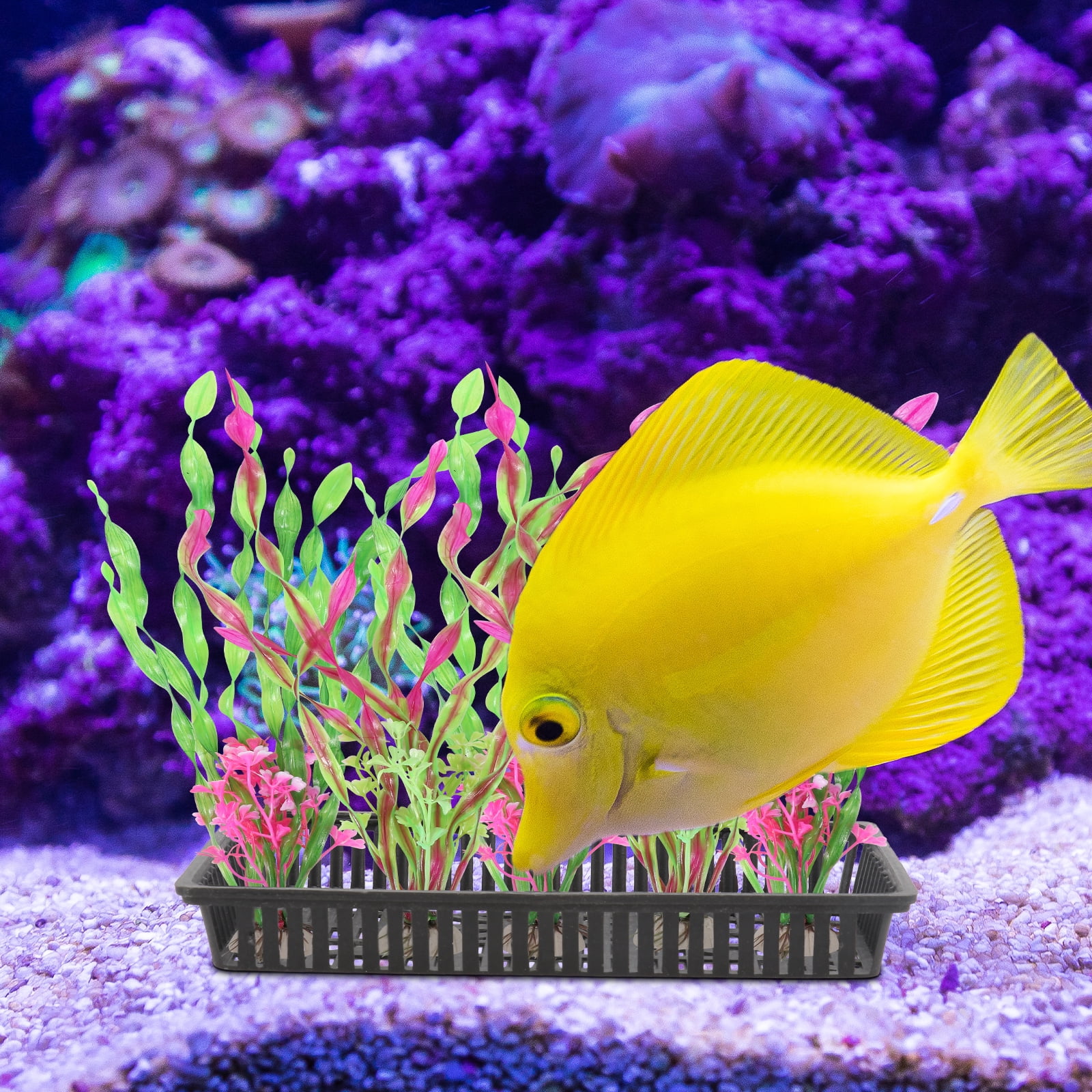 Homemaxs 5pcs Aquarium Plastic Pot Baskets Aquarium Aquatic Water Flower Plant Grass Planting Rack