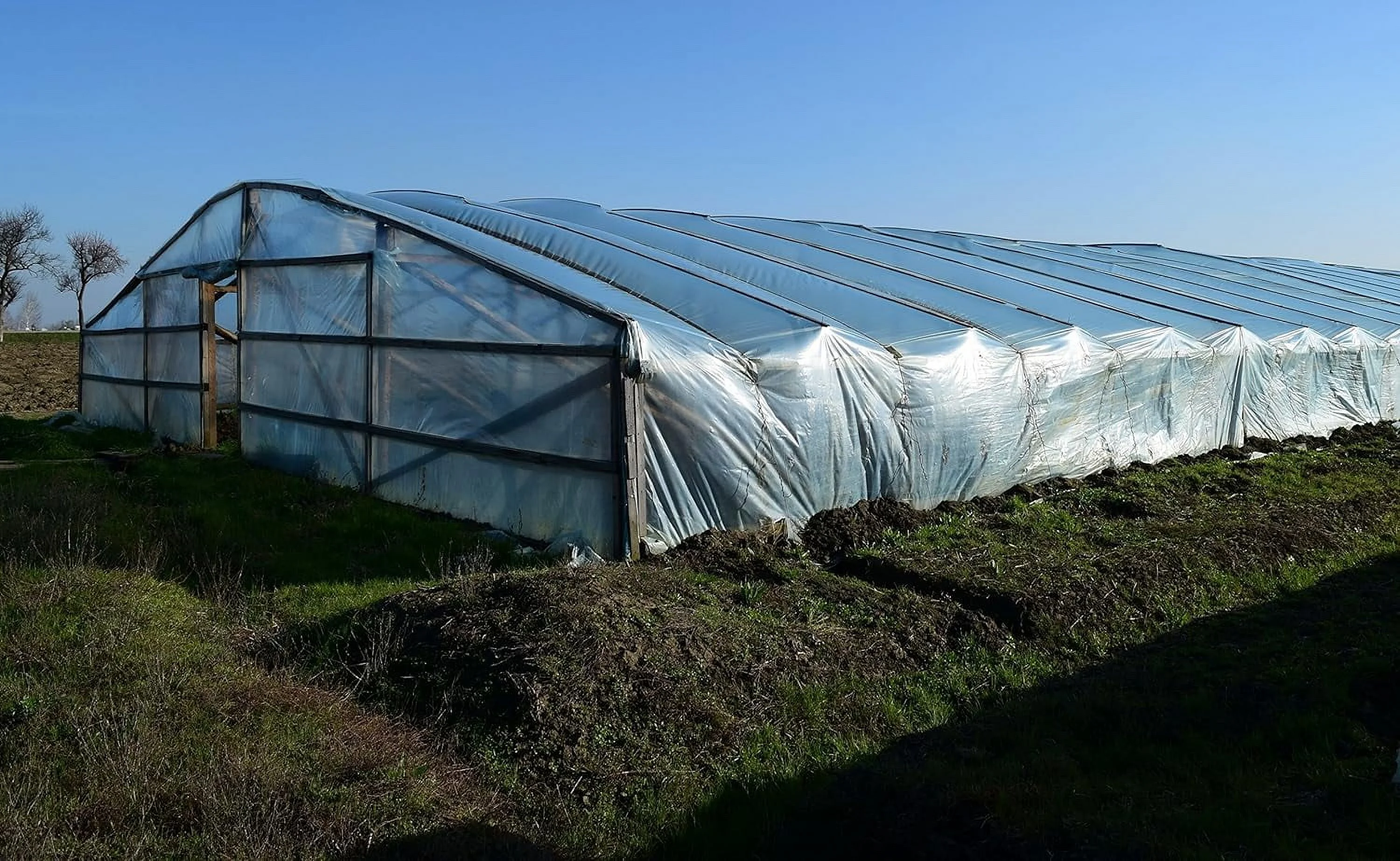 Greenhouse Film Clear 6 Mil, 4 Year, Polyethylene Plastic, 24Ft X 50Ft