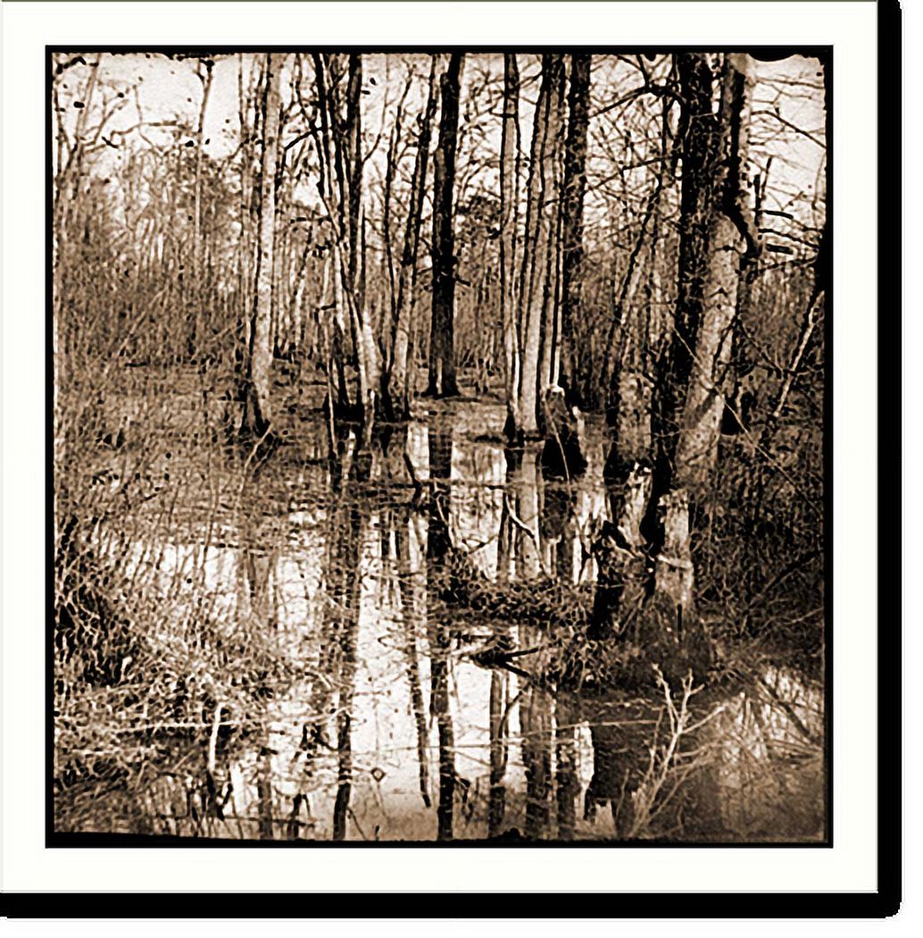 Historic Framed Print, White Oak Swamp Va. View, 17-7/8