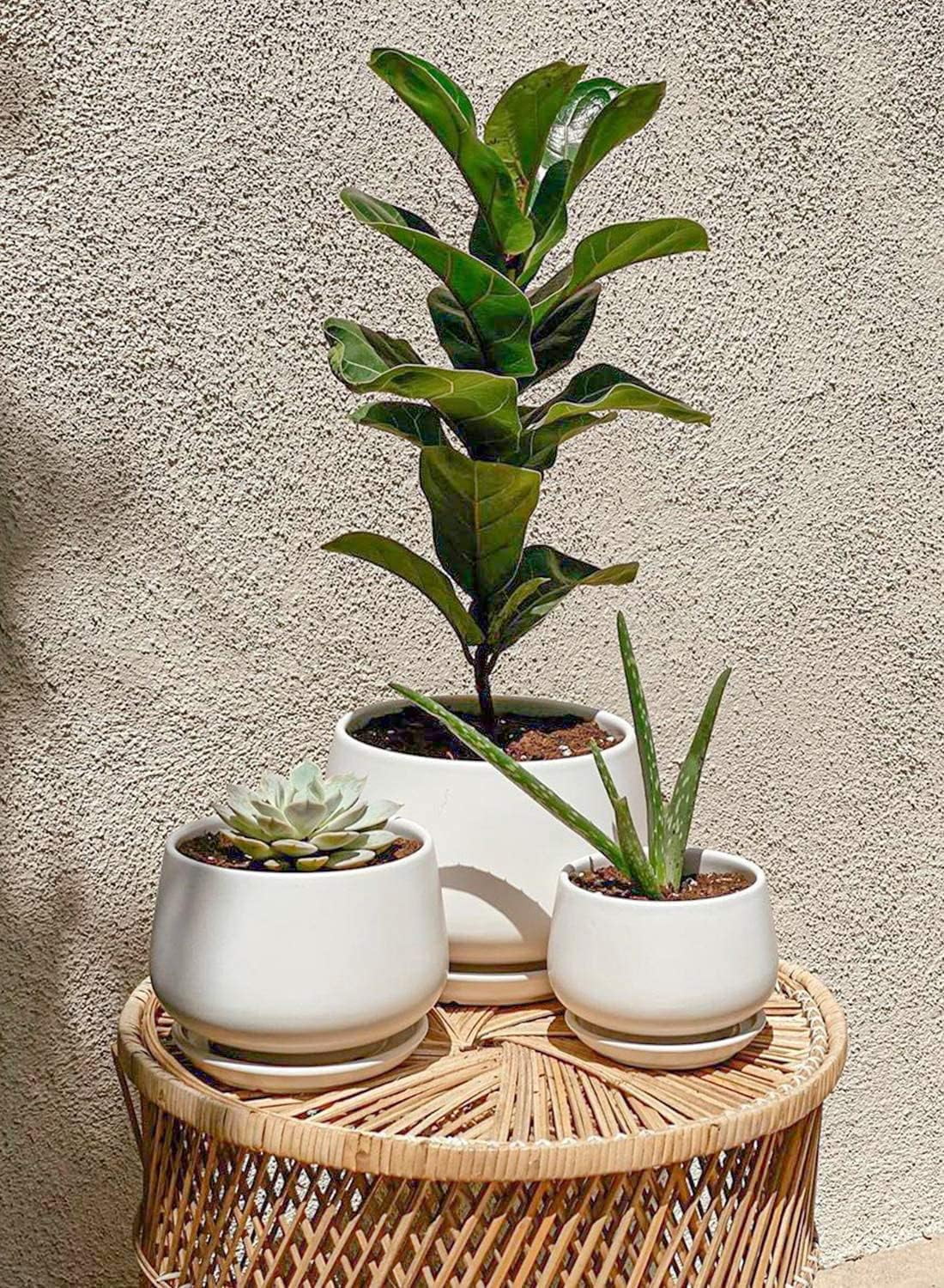 LE TAUCI 4.1+5.1+6.5 Inch Ceramic Plant Pots with Drainage Hole and Saucer, Set of 3, White