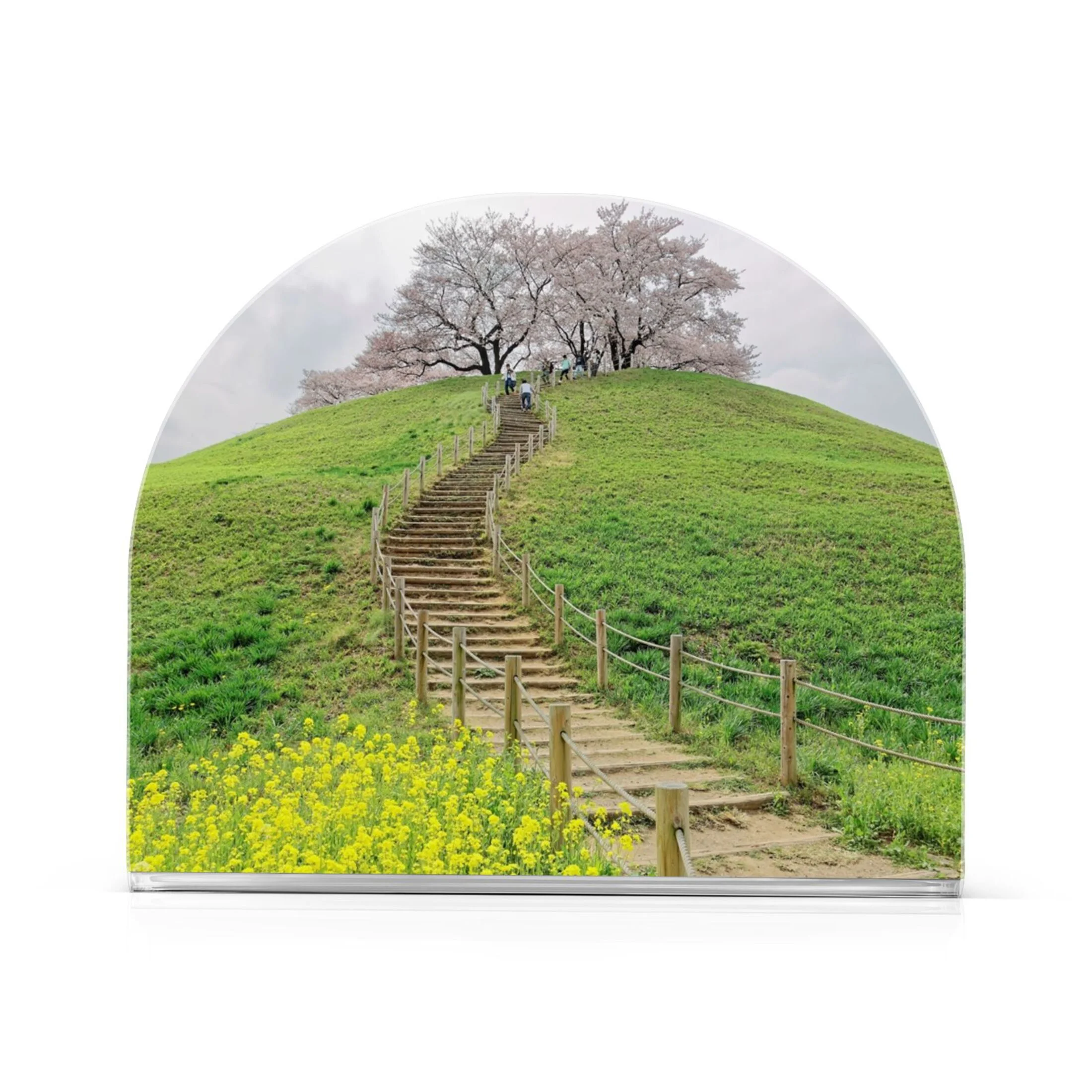 Cherry Tree Blossoms and Green Grassy Meadows Acrylic Napkin Holder Tissue Paper Clear Tabletop Dispenser Dining Room Bathroom Party Hotel