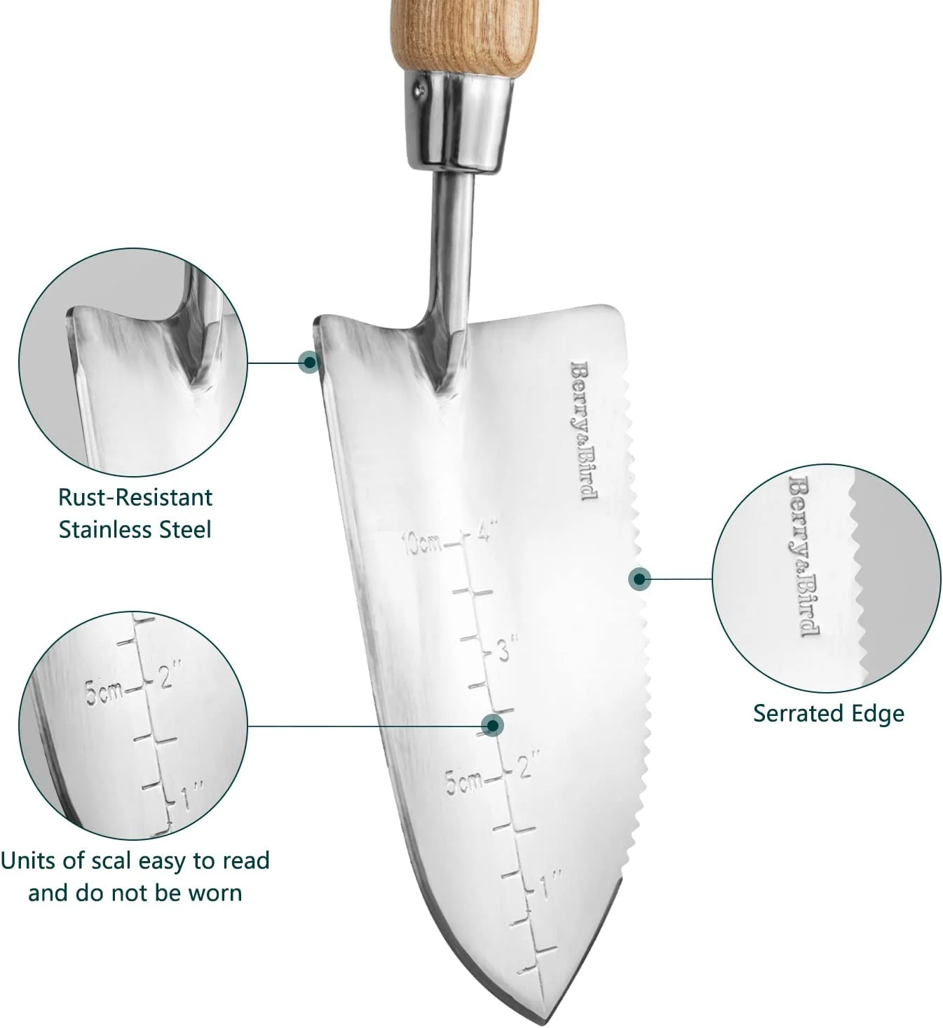 Garden Serrated Planting Trowel, Multifunctional Shovel with ash Wood and Stainless Steel Digging Trowel Transplanter