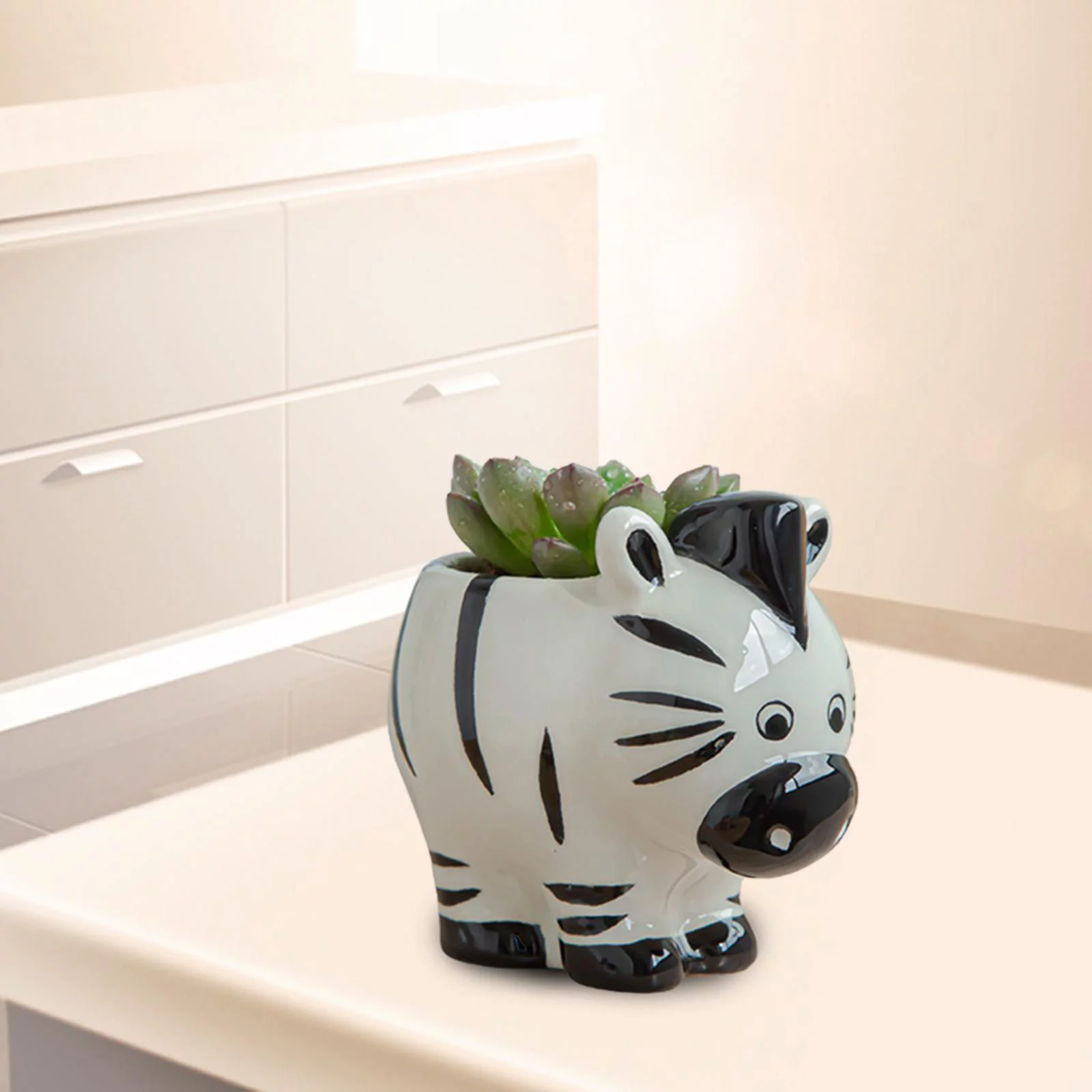 figatia 5-6pack Cartoon Plant Succulent Planter Desk Flower Pot Zebra 6 Pcs