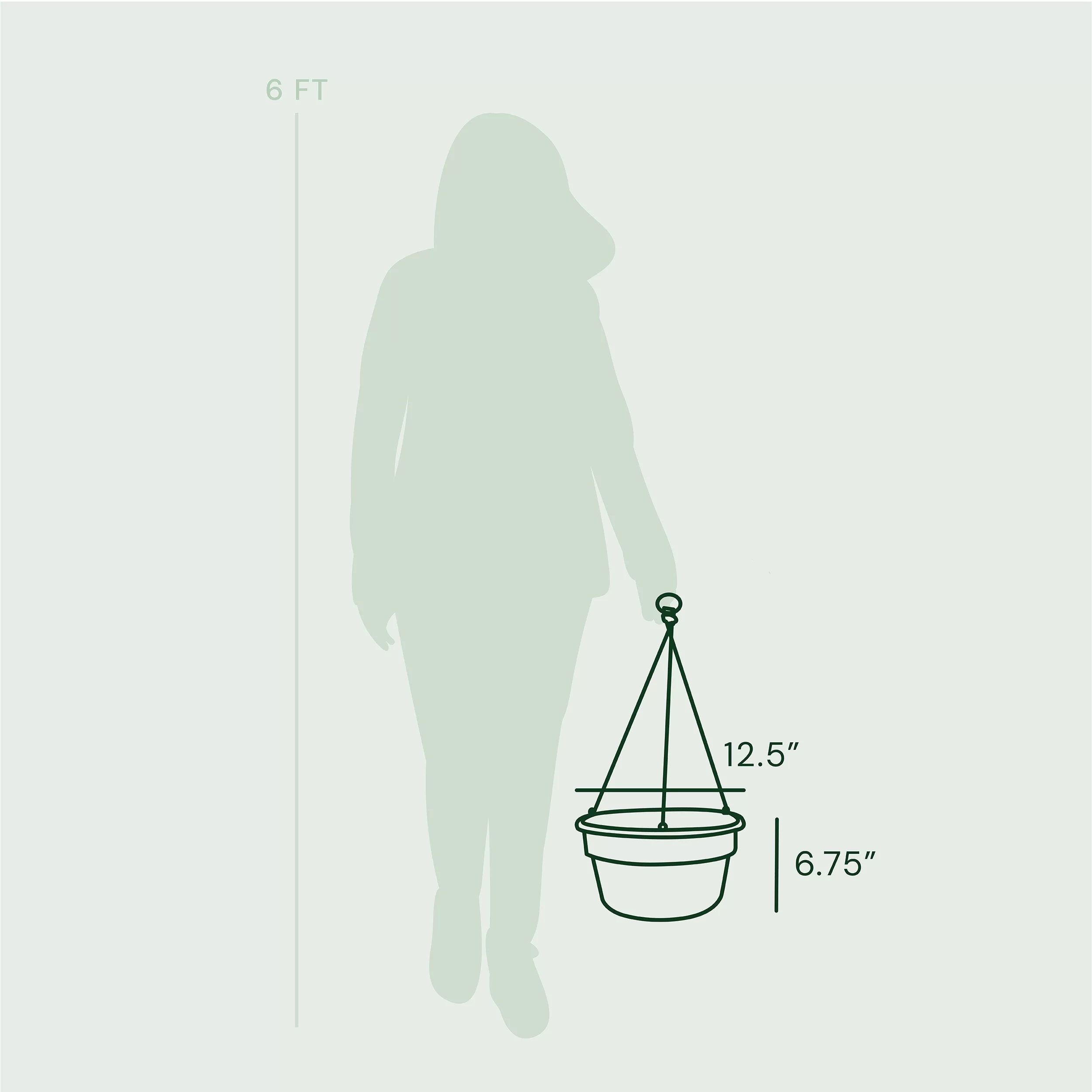 Bloem Dura Cotta Self Watering Hanging Basket Planter 12