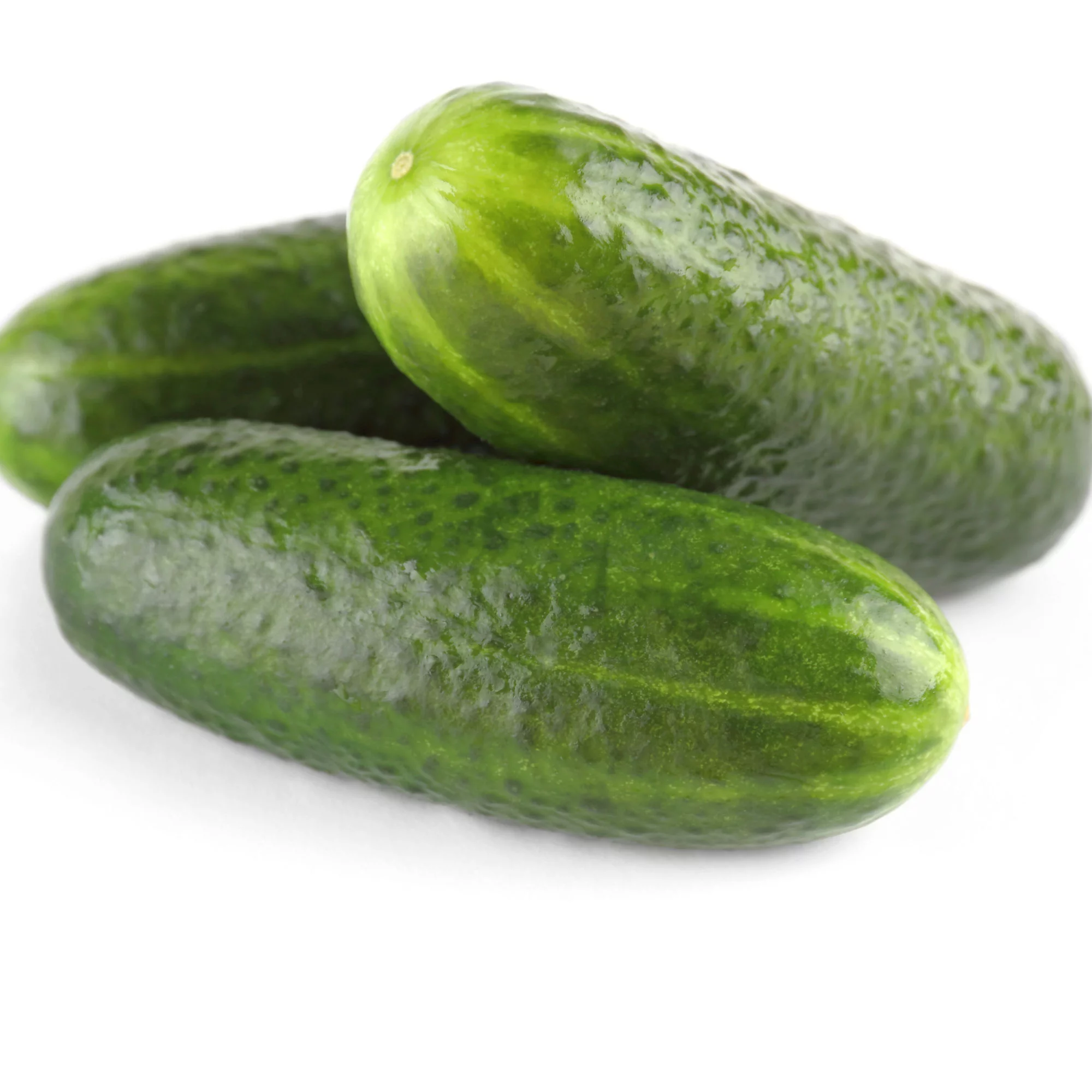 Cucumber Seeds - Addis - 3 g Packet ~100 Seeds - Cucumis sativus - Farm & Garden Vegetable Seeds - Non-GMO, Heirloom, Open Pollinated, Annual