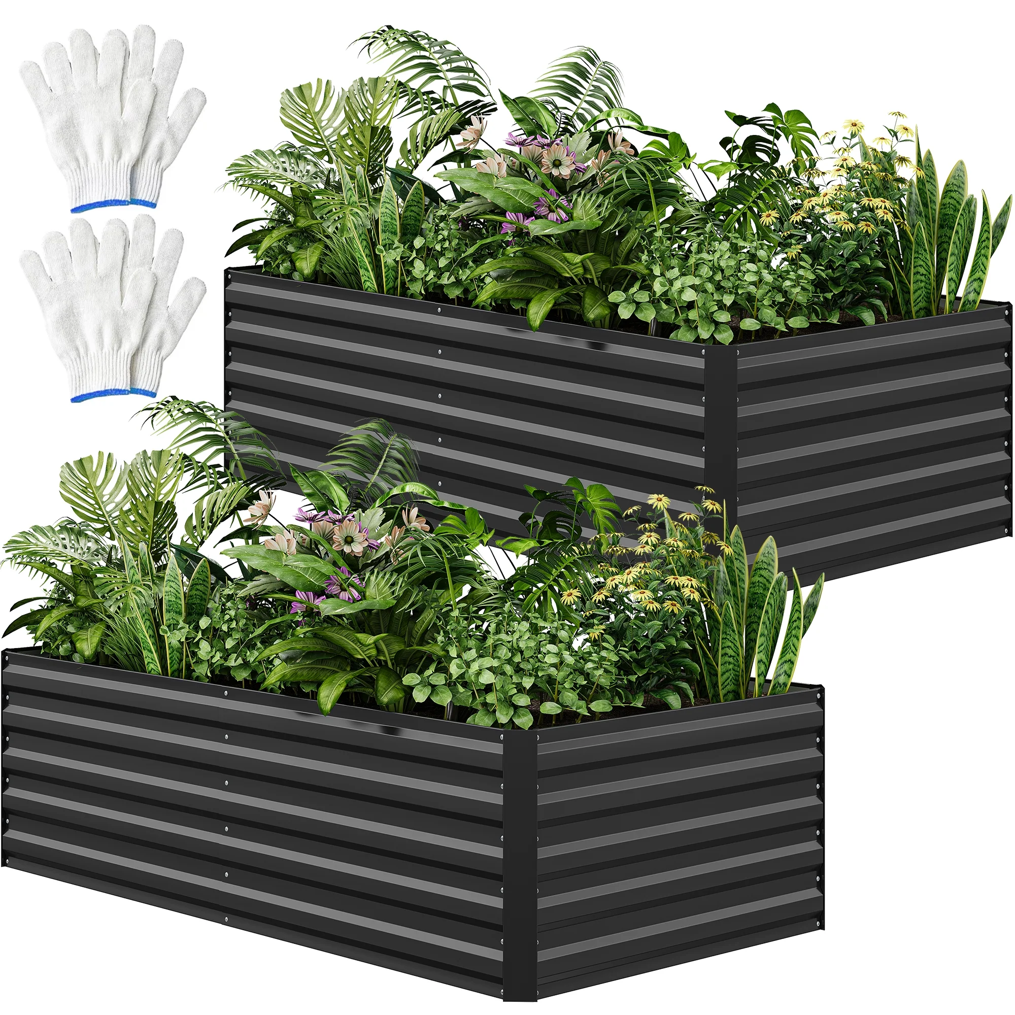 Dextrus Large Outdoor Raised Garden Bed Kit, Metal Planter Box for Plants, Vegetables&Flowers, Includes 2 Gloves, Ground Nails, Support Rod, and Secure Edge Curling Design-6x3x1.5ft,2PCS,Dark Gray