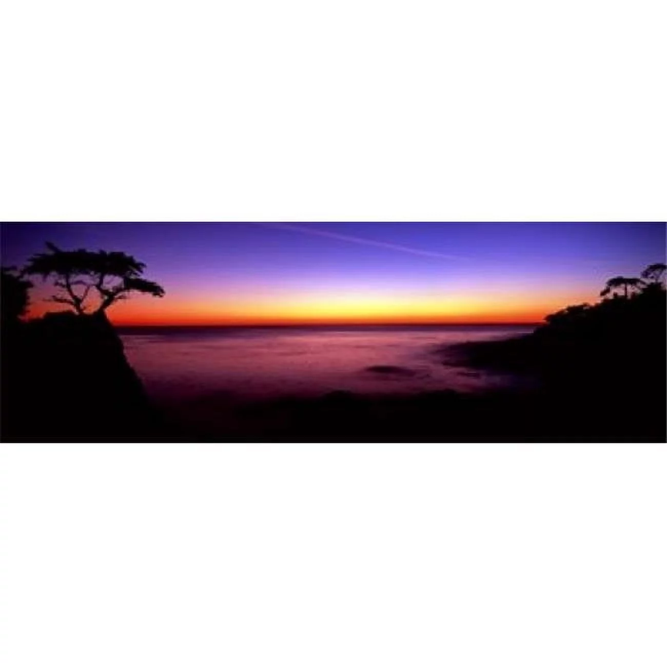 Silhouette of Lone Cypress Tree on a cliff  17-Mile Drive  Pebble Beach  Carmel  Monterey County  California  USA Poster Print by  - 36 x 12