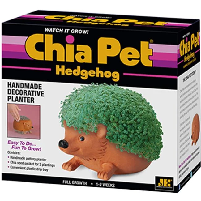 Hedgehog Decorative Planter Clay, Brown