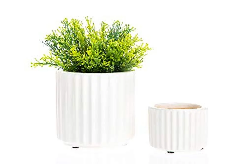 Paisley Ceramic Pot (3.5