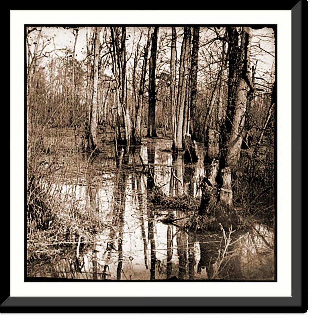 Historic Framed Print, White Oak Swamp Va. View, 17-7/8