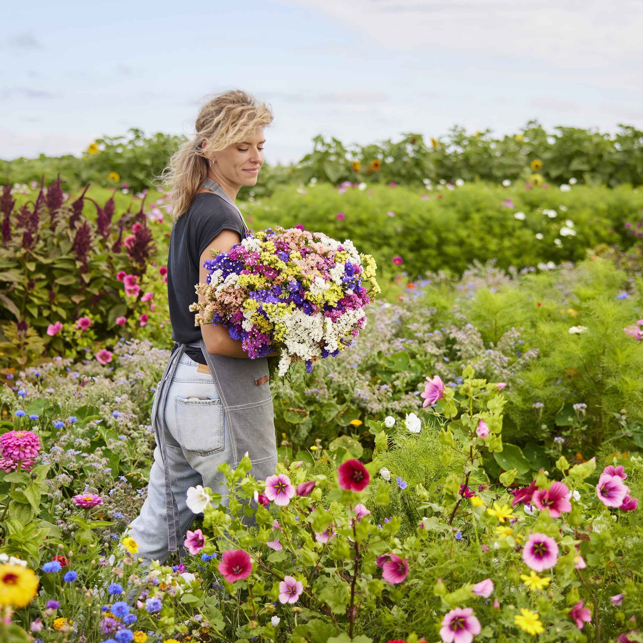 Statice Seeds - Pacific Mix - Packet - Pink/Yellow/Red Flower Seeds,  Heirloom Seed, Open Pollinated Seed  Attracts Bees, Attracts Butterflies, Attracts Pollinators, Cut Flower Garden