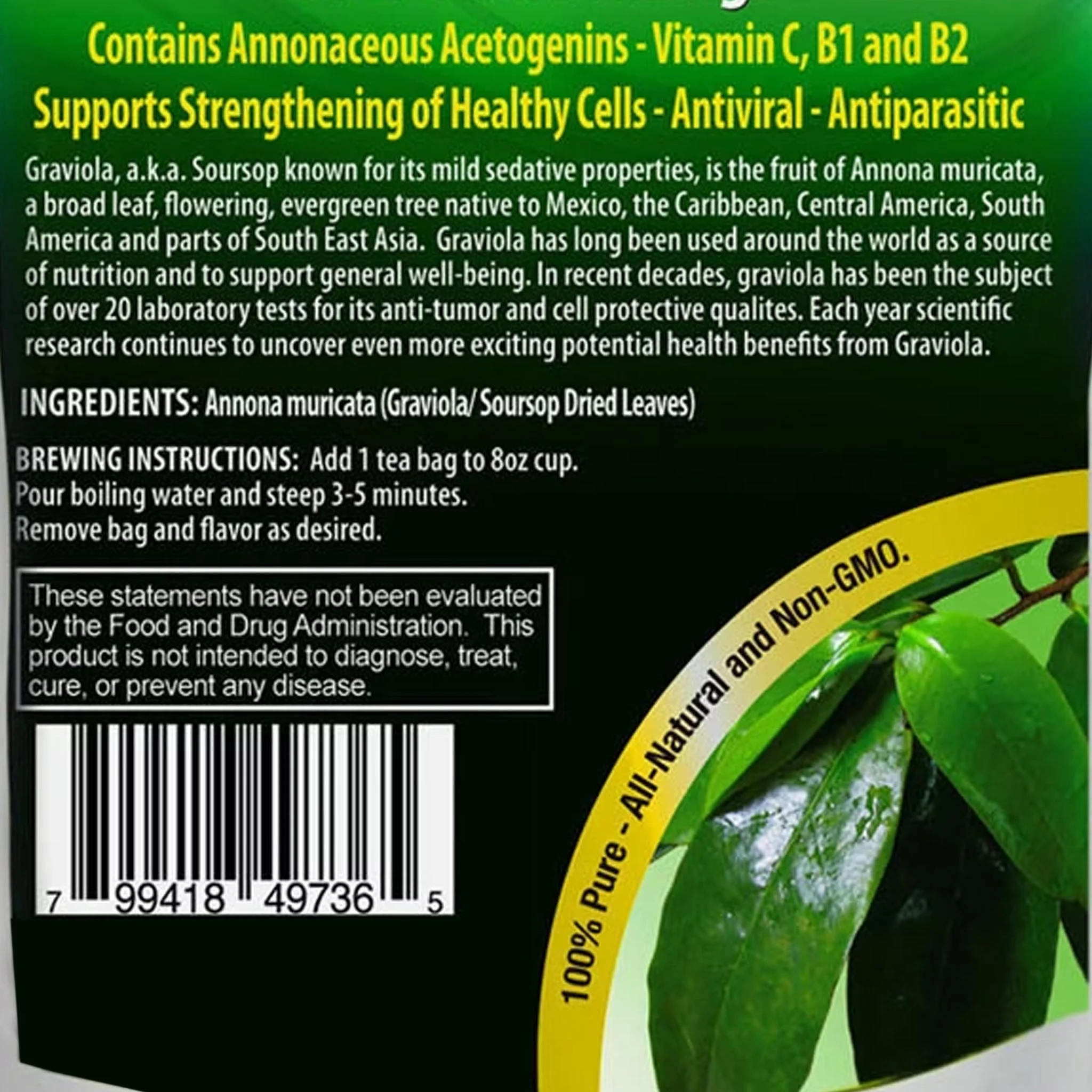 Graviola Tea Mega Pack (100 Bags) Soursop - in Resealable Zip Pouch