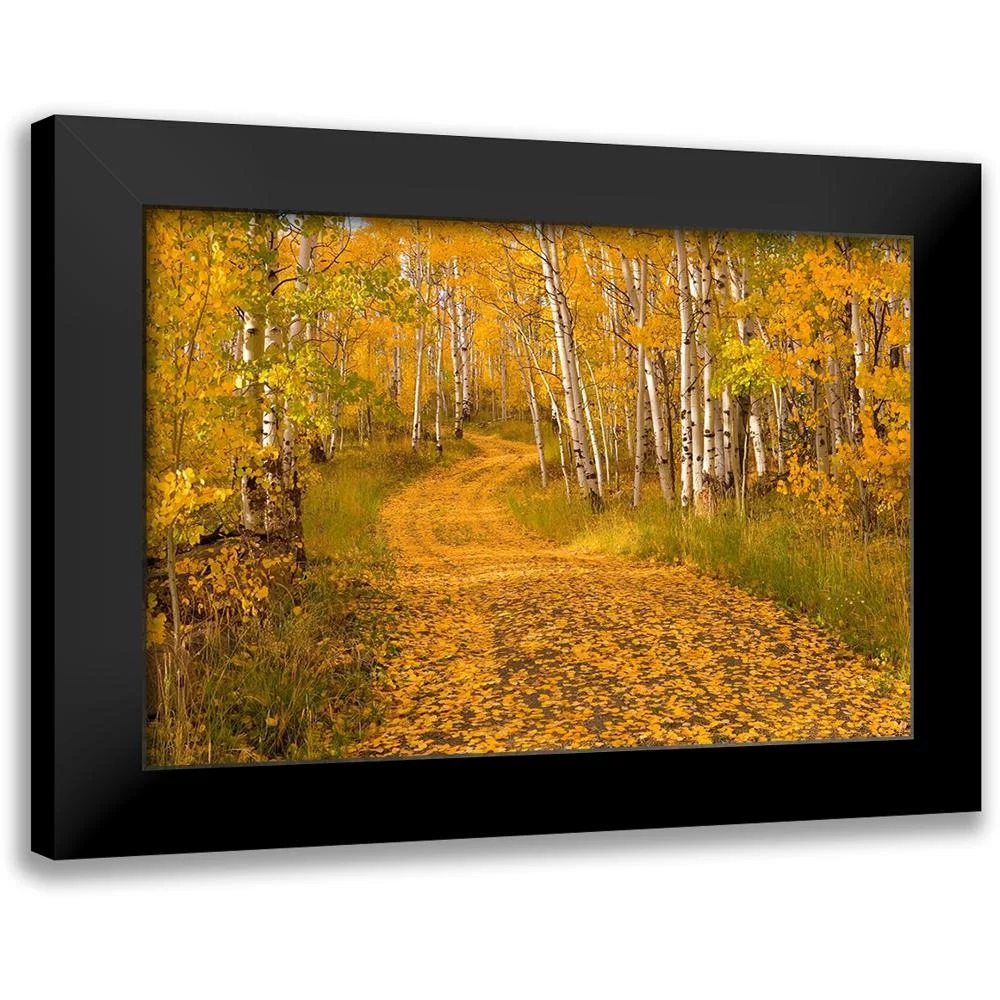 Leacock, J.C. 14x11 Black Modern Framed Museum Art Print Titled - Aspen Tree Trunks