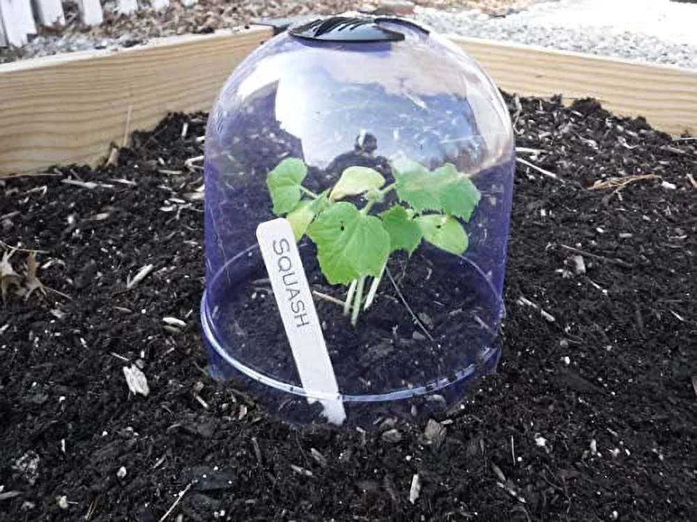 6-Pack! GrowAway™ Medium Reusable Plastic Mini Greenhouse, Garden Cloche Dome, Plant Covers Frost Guard Freeze Protection for Plants Outdoors, Garden Tools, Garden Accessories - 10.24