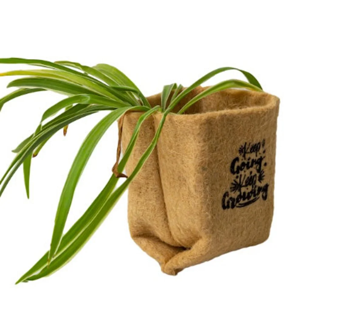 Eco Friendly D.I.Y Grow Kit - 5 Pc Set Jute Planter Set - Seed kit + Planter Pot - Sustainable Gift