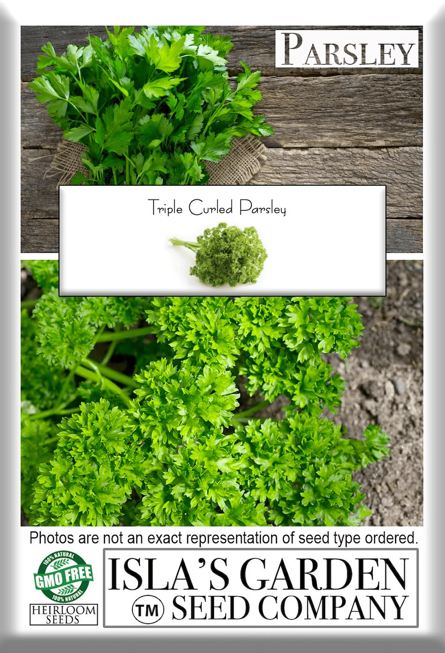 Triple Curled Parsley Seeds, 250 Heirloom Seeds Per Packet, Non GMO Seeds