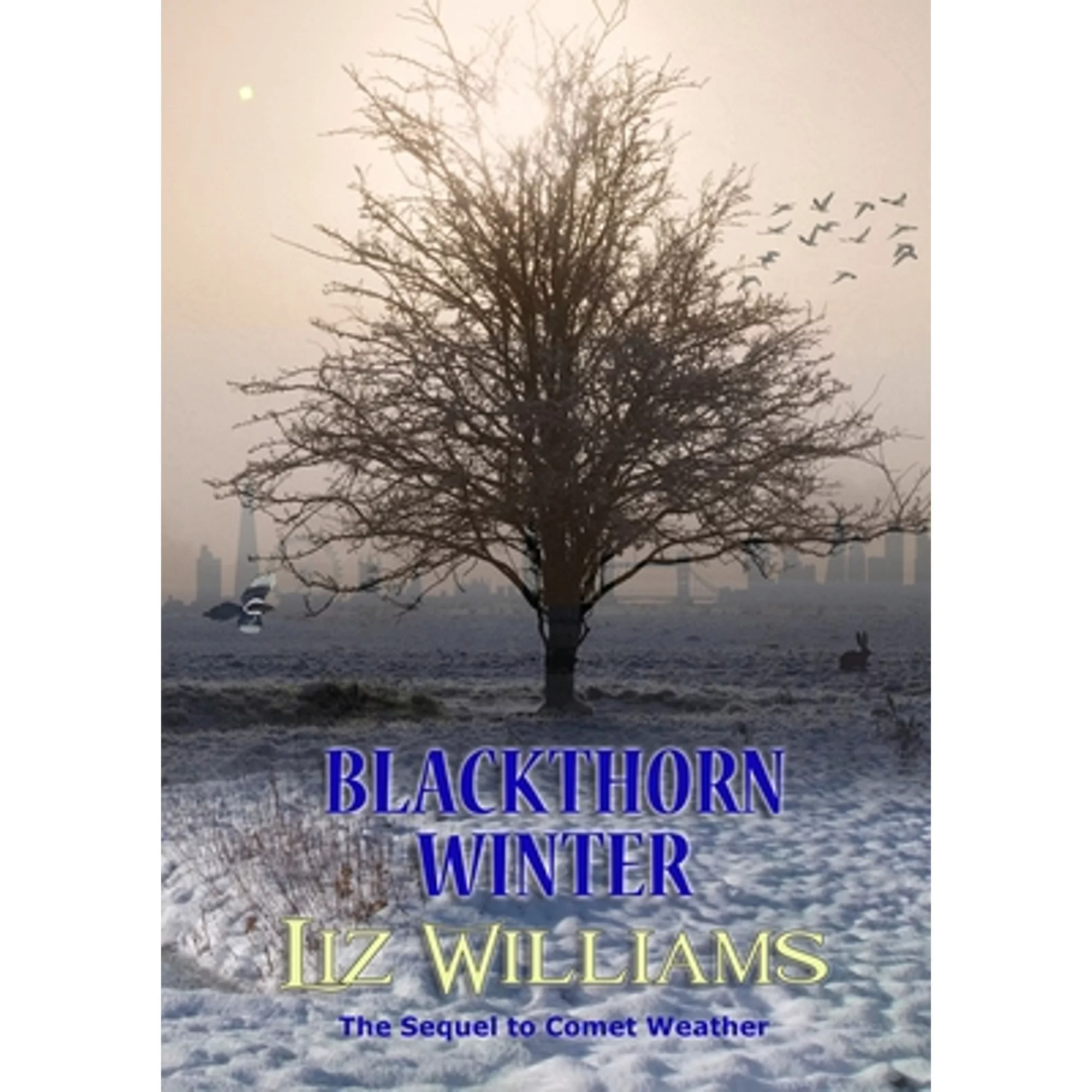 Pre-Owned Blackthorn Winter (Paperback 9781912950799) by Liz Williams