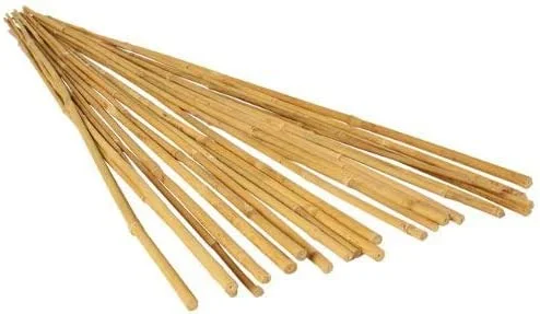Bamboo Stakes, 6-8mm (5/16