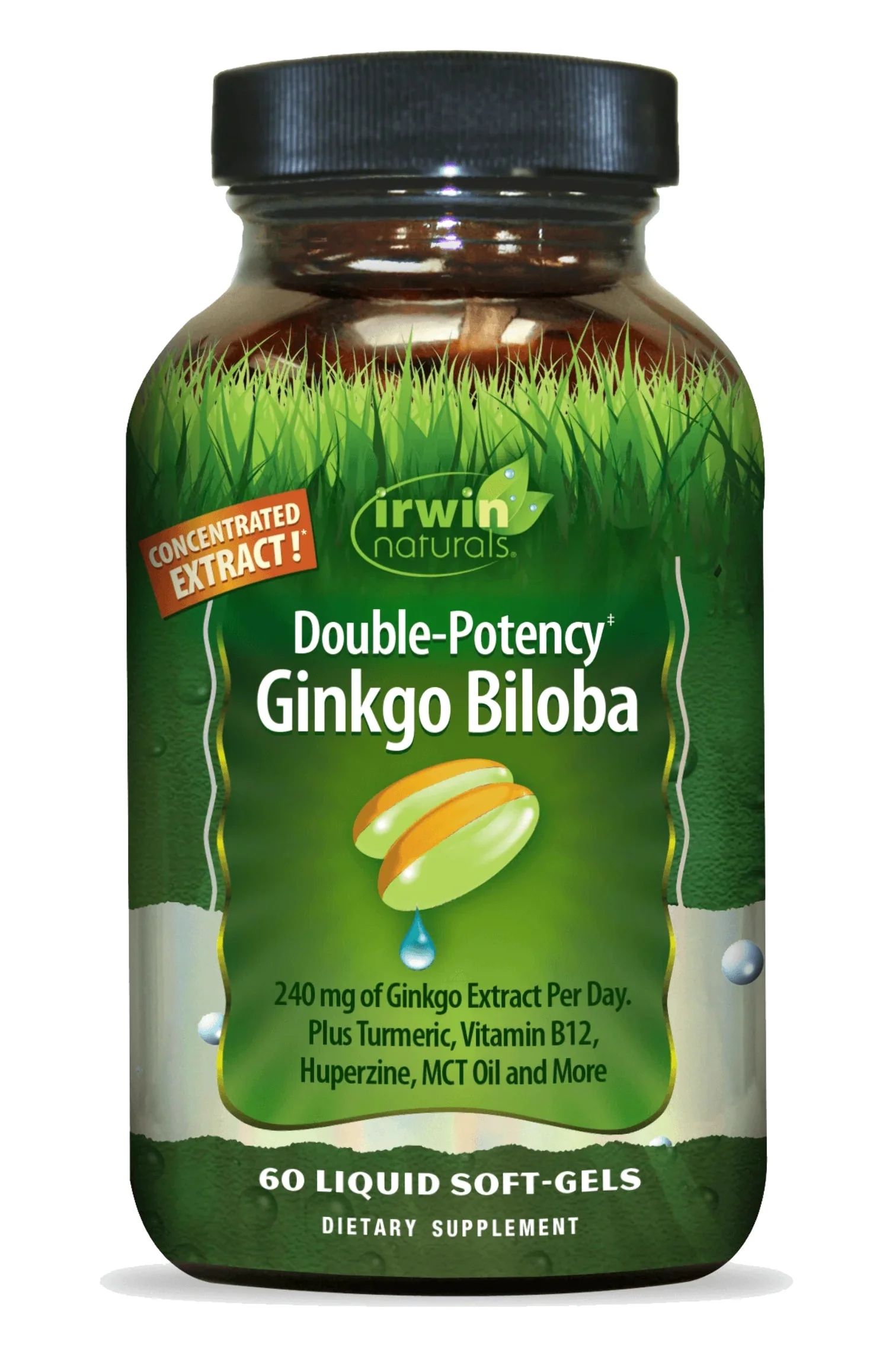 Double-Potency Ginkgo Biloba