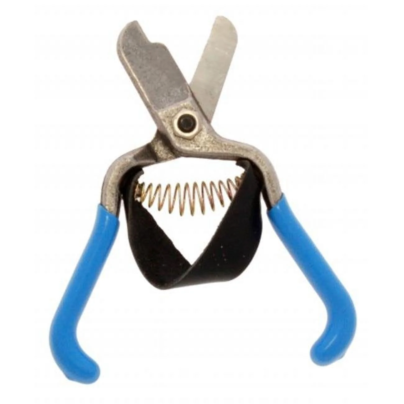 Fruit Shears with Strap Lemon Citrus Clippers Forged