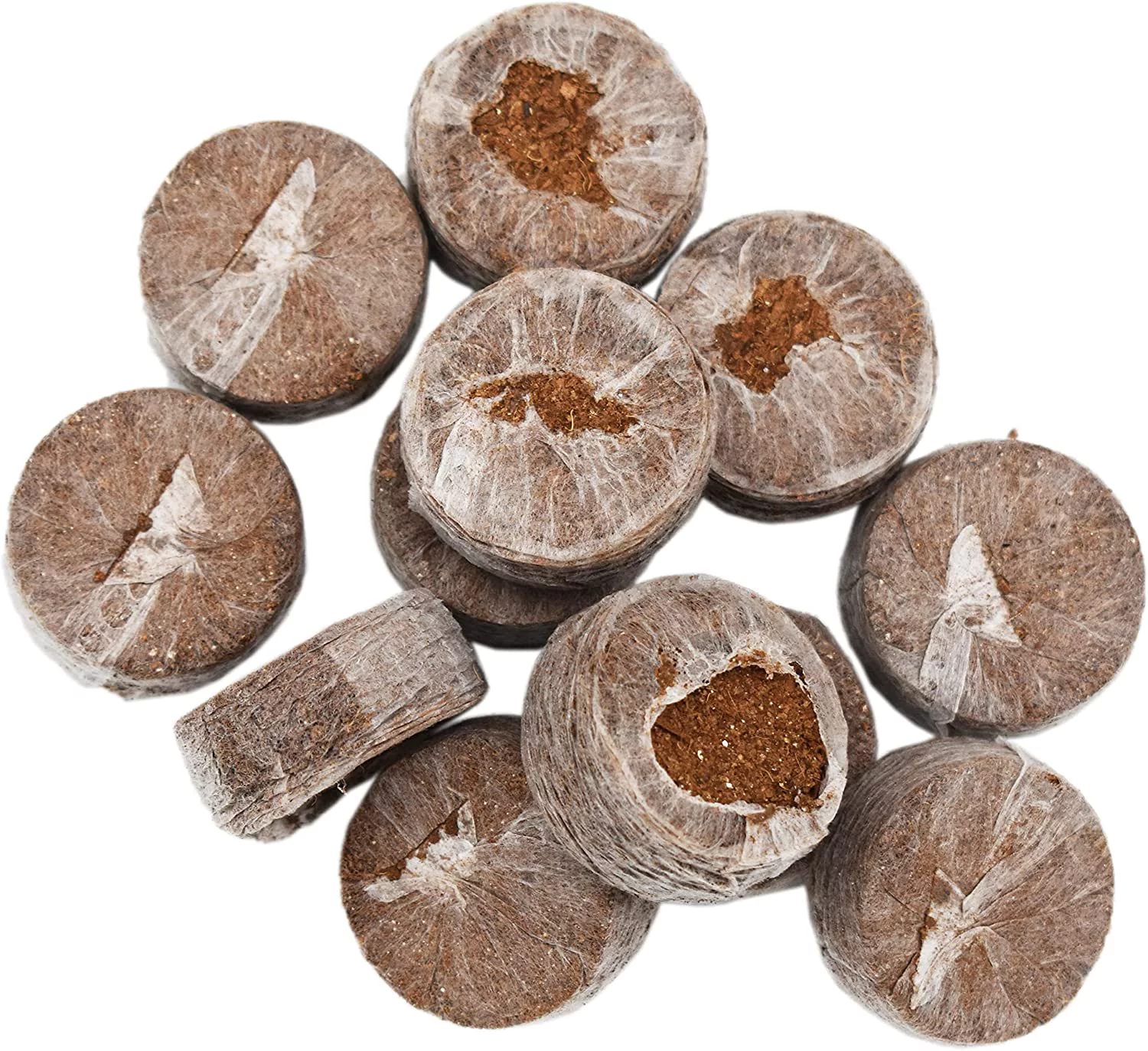 Set of 100 Netted Coco Coir Pellets - 38mm - Seed Starter Pellets - Expands with Water - Provides Seeds with The Optimum Starting Soil (100)