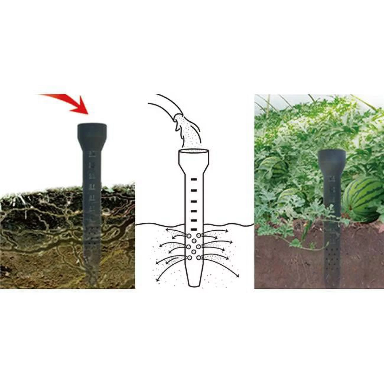 Irrigation Spikes, Water Plants and Flowers Roots Direct