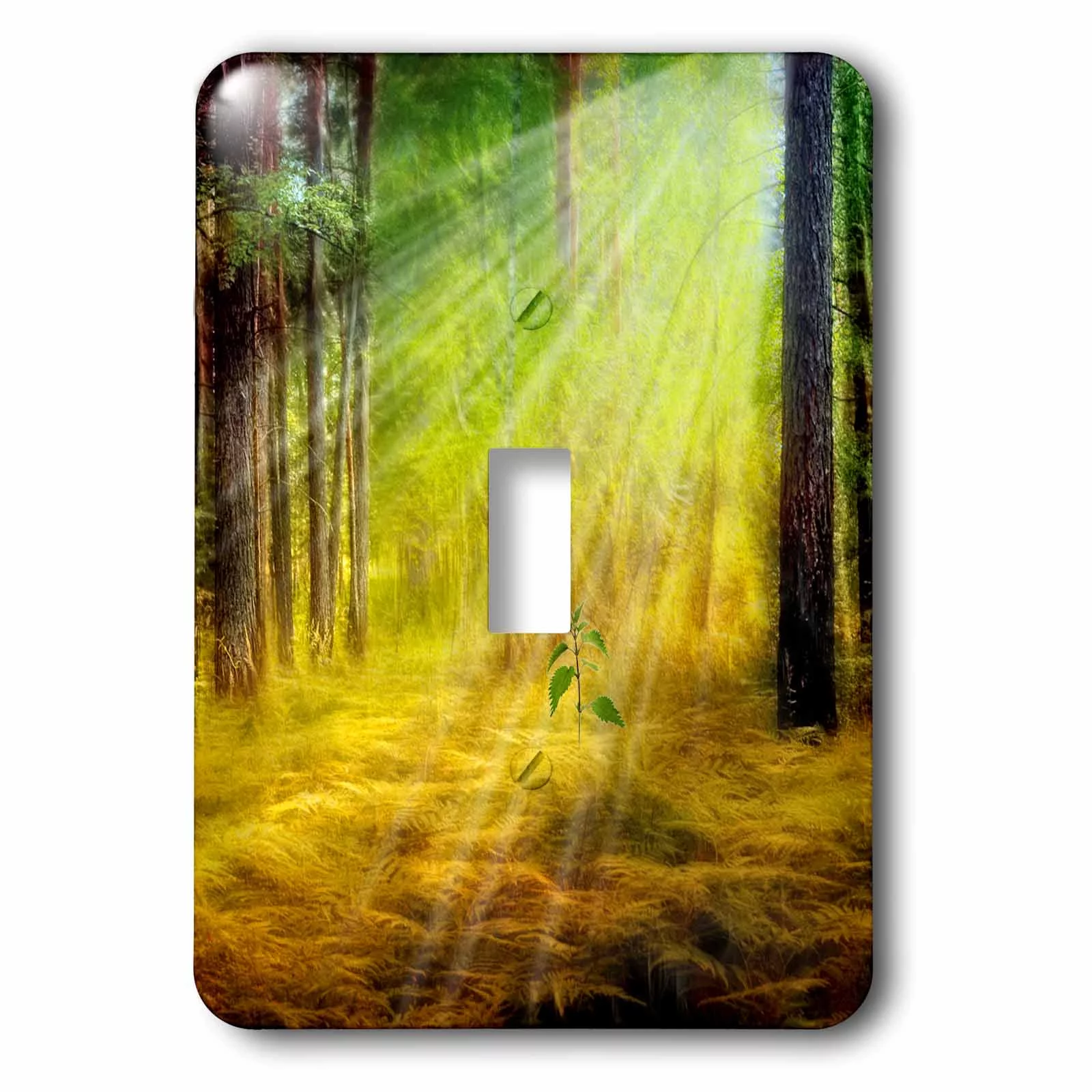 3dRose Sun Rays through the Forest Trees Birth a Sapling for Earth Day - Single Toggle Switch