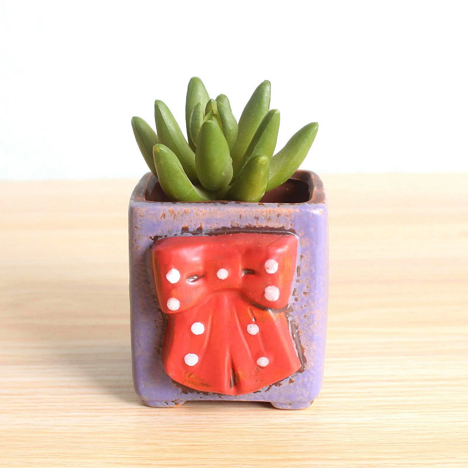 Ceramic Succulent Plant Pot, Hand-painted Korean Style Thumb Pot, Ceramic Flower Pot