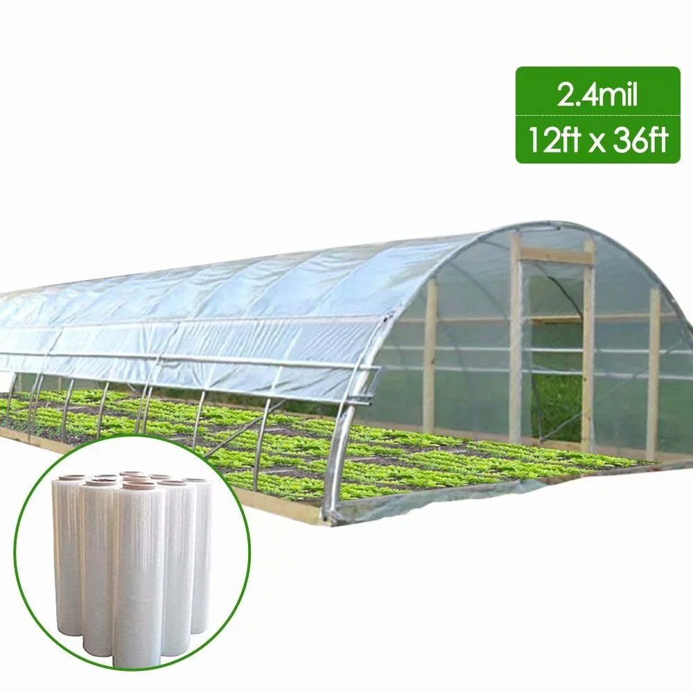 Agfabric 2.4Mil Plastic Covering Clear Polyethylene Greenhouse Film UV Resistant for Grow Tunnel and Garden Hoop, Plant Cover&Frost Blanket for Season Extension, Keep Warm and Frost Protection,12x36ft