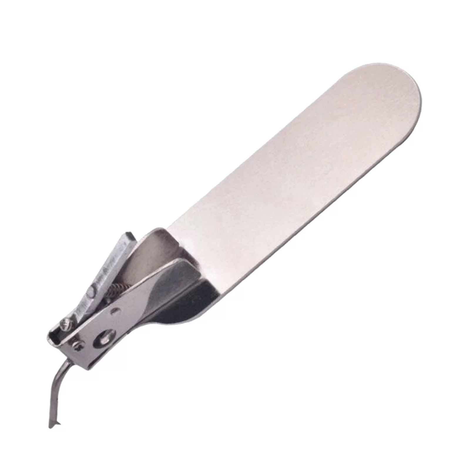 Stainless Steel Worm Grafting Tool with Spare Single‑End for Moving Larva Beekeeper Bee Rearing Grafting Tackle Transferring Tool