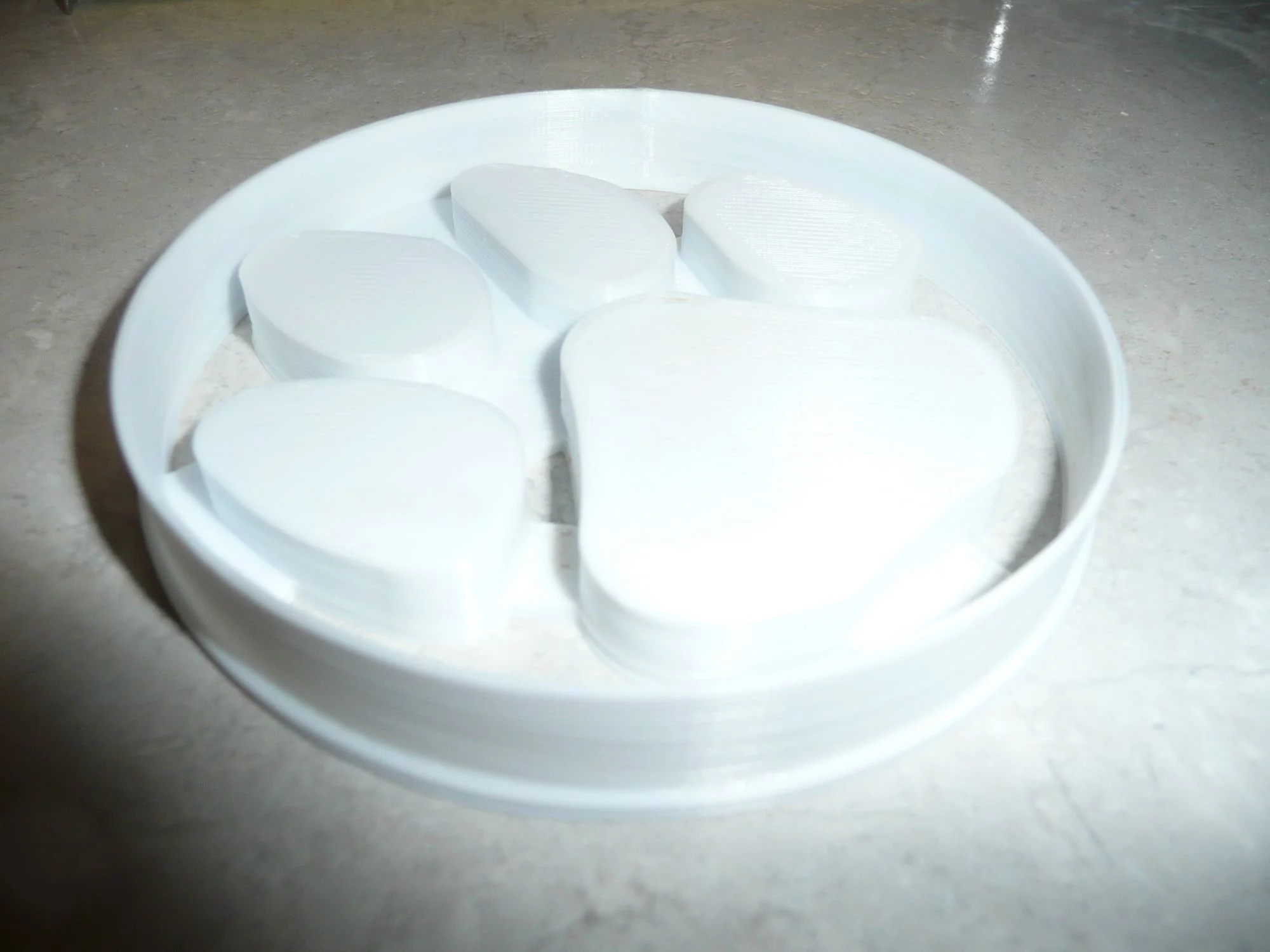 Tiger Cat Paw Print Pawprint School University Mascot Cookie Cutter USA PR2667