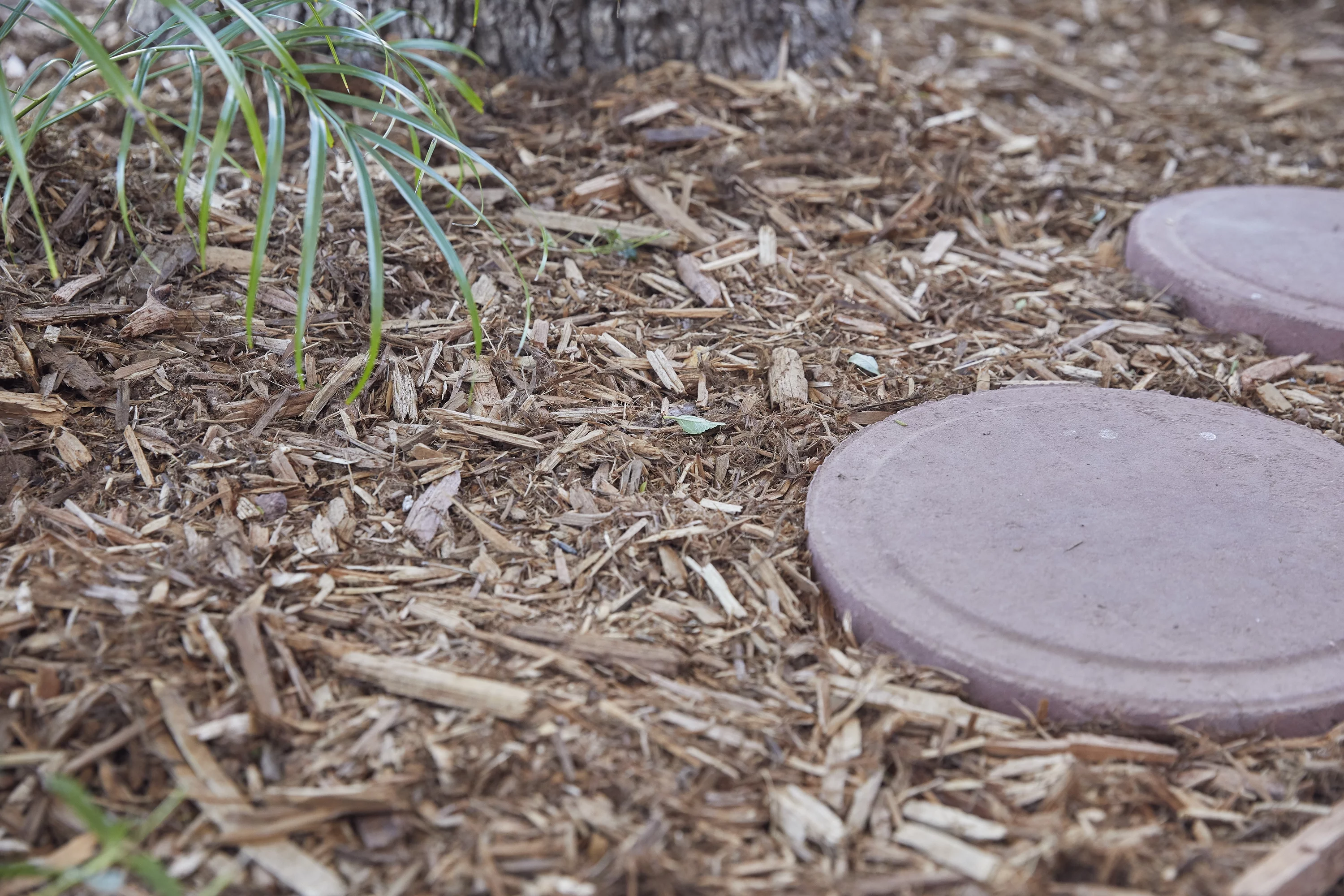 2CF American Countryside Brown Cypress Blend Mulch