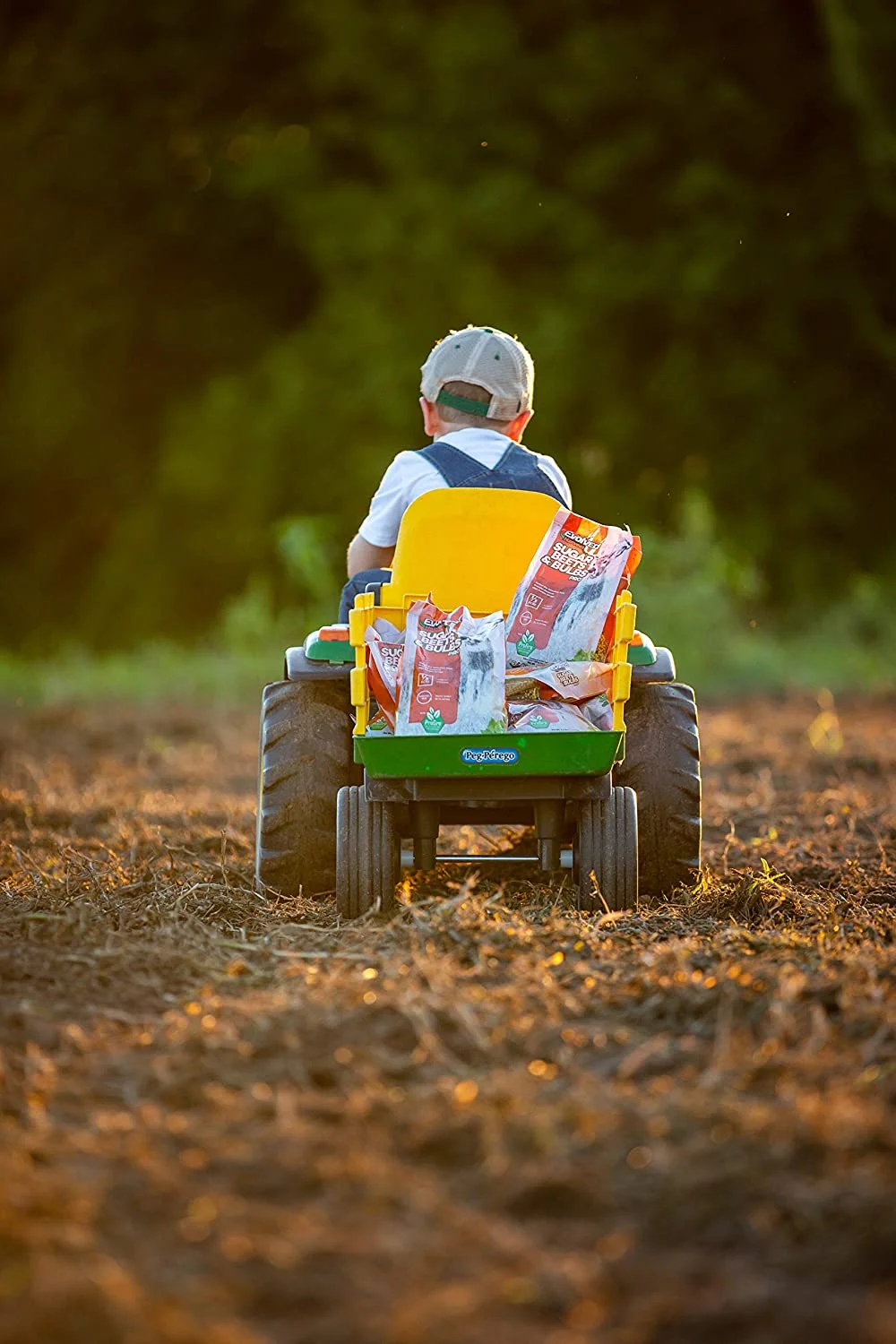 Evolved EVO73040 Sugar Beets And Bulbs 2Lb