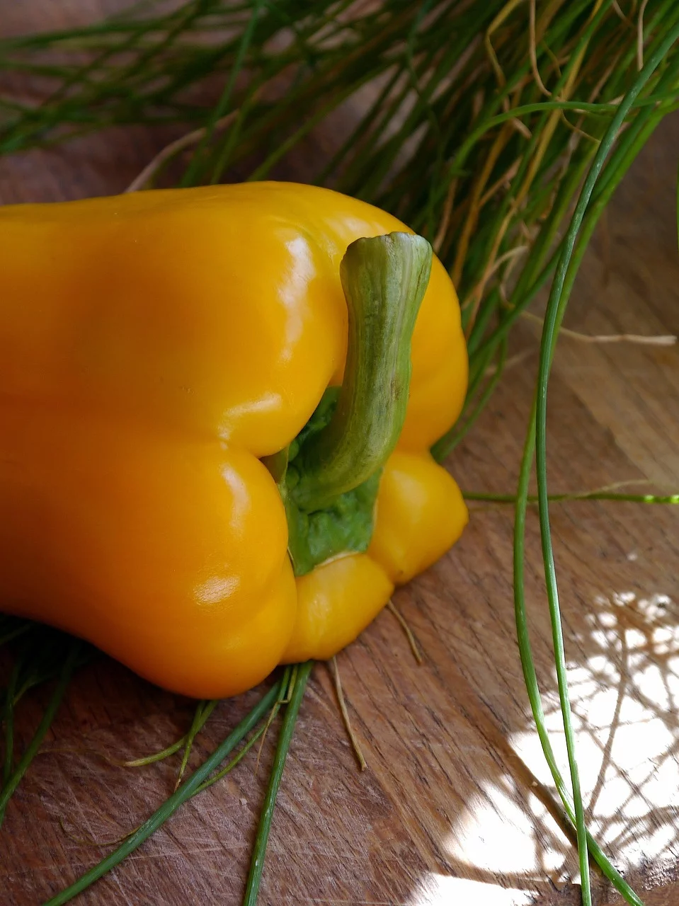 California Wonder Bell Pepper/Perennial/Full Sun/ 1K Seeds 1/4 oz/ Zellajake Farm and Garden - B259