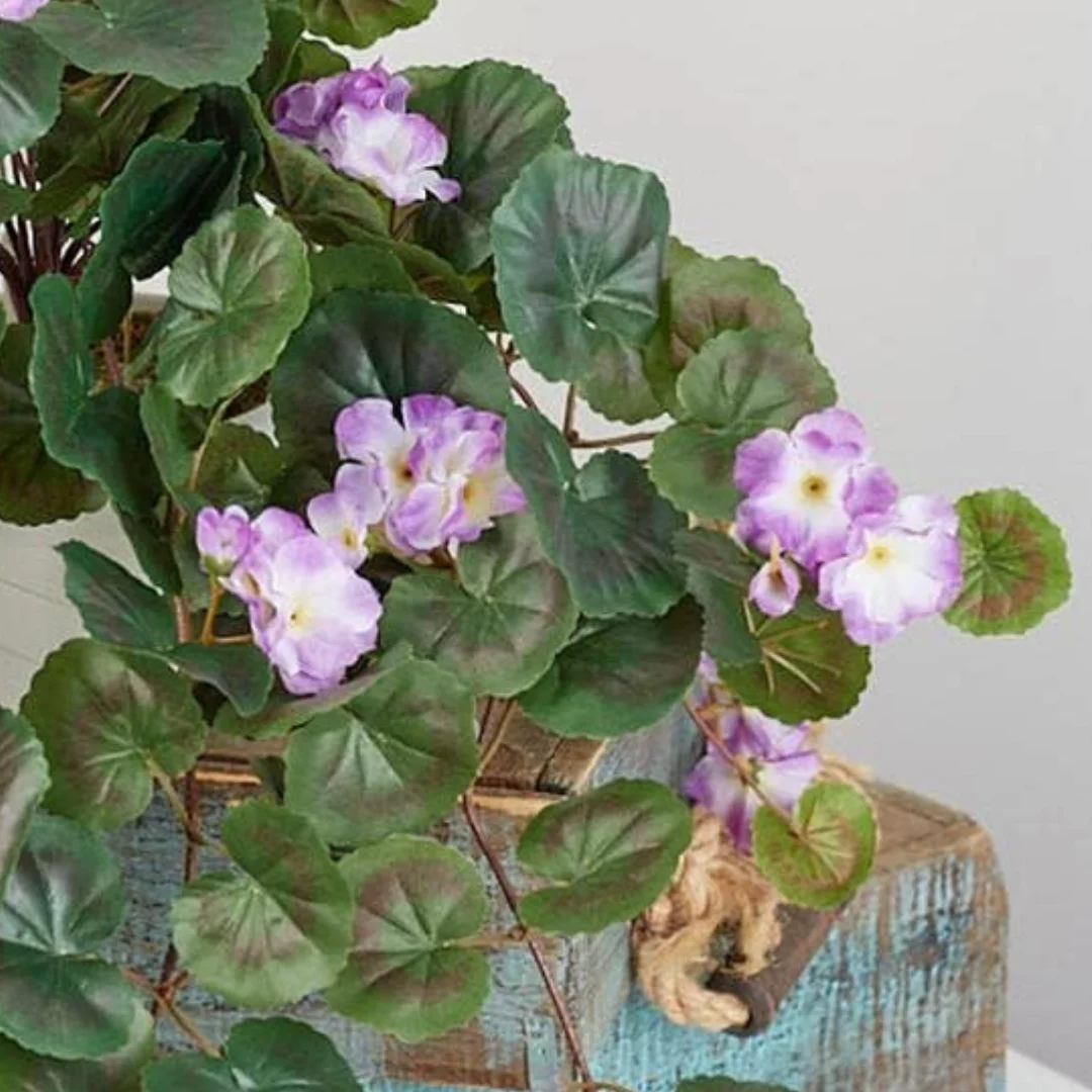 Cascading Lavender Silk Geranium Hanging Basket - For Indoor Spring and Summer Arrangements and Home Decor