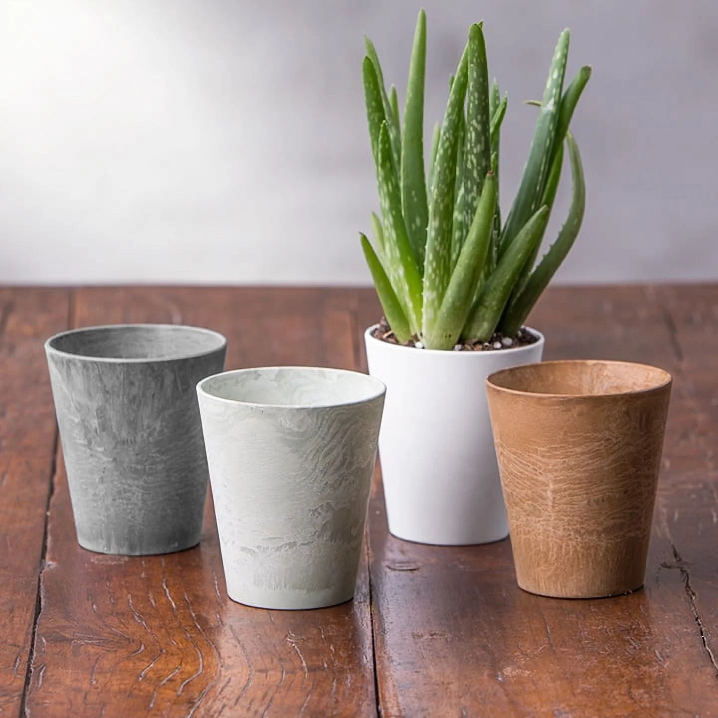 Novelty Artstone 5 in. H X 3.2 in. W X 3.2 in. D X 3.2 in. D Resin Mini Cache Cover Pot Assorted