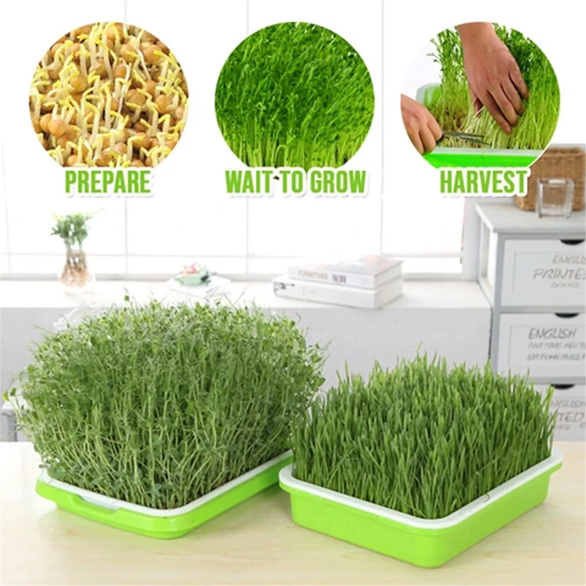 Aunavey Seed Sprouter Tray 10*Nursery Papers PP Plastic Soil-Free Big Capacity Wheatgrass Grass Grow Box