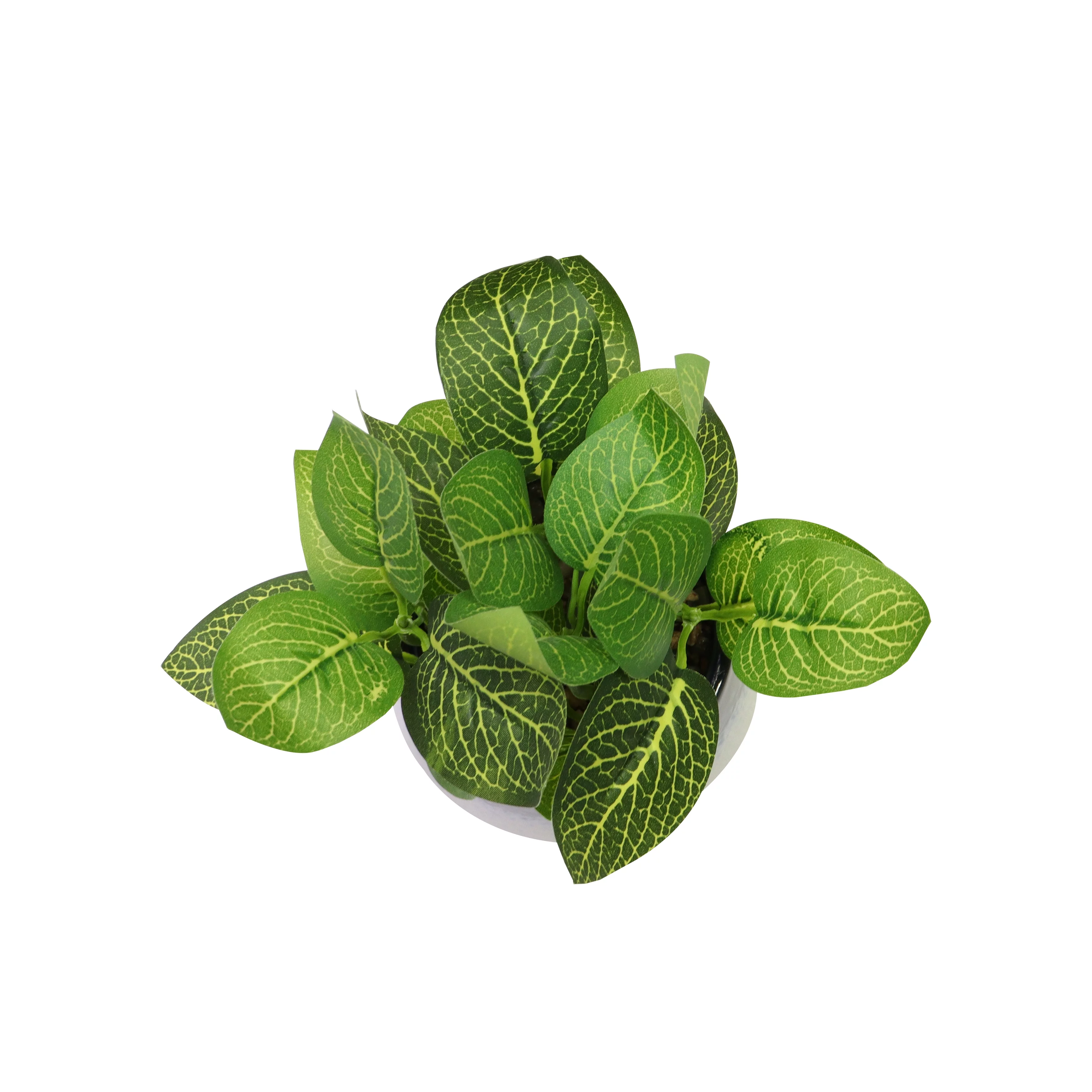 Nature's Mark 8.7’’H Artificial Pinstripe Plant in Blue and White Shaped Ceramic Pot