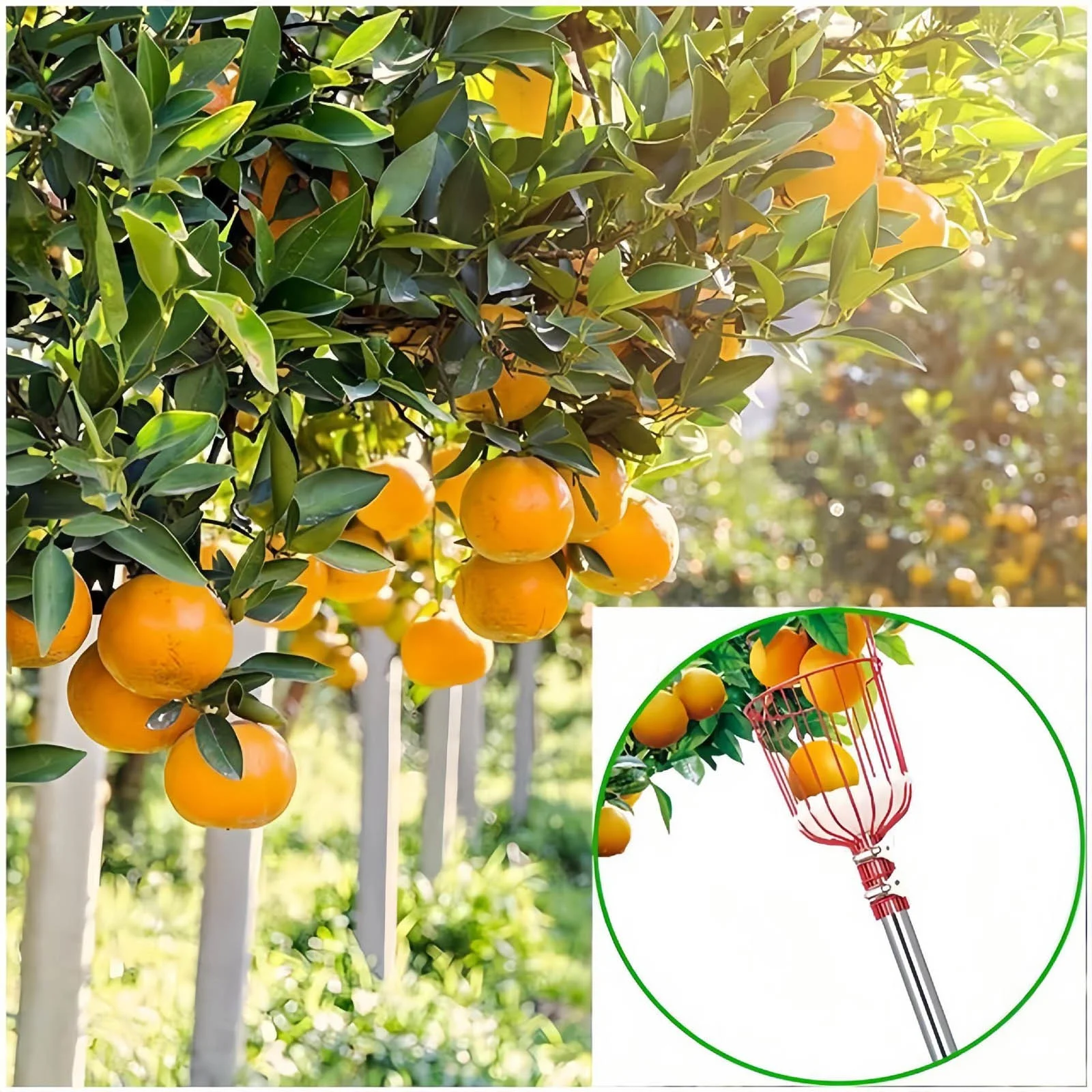 NLLSHGJ 1.6m Long Household Garden Fruit Pick Stainless Steel Aerial Fruit Picking Tool Fruit Picking Equipment